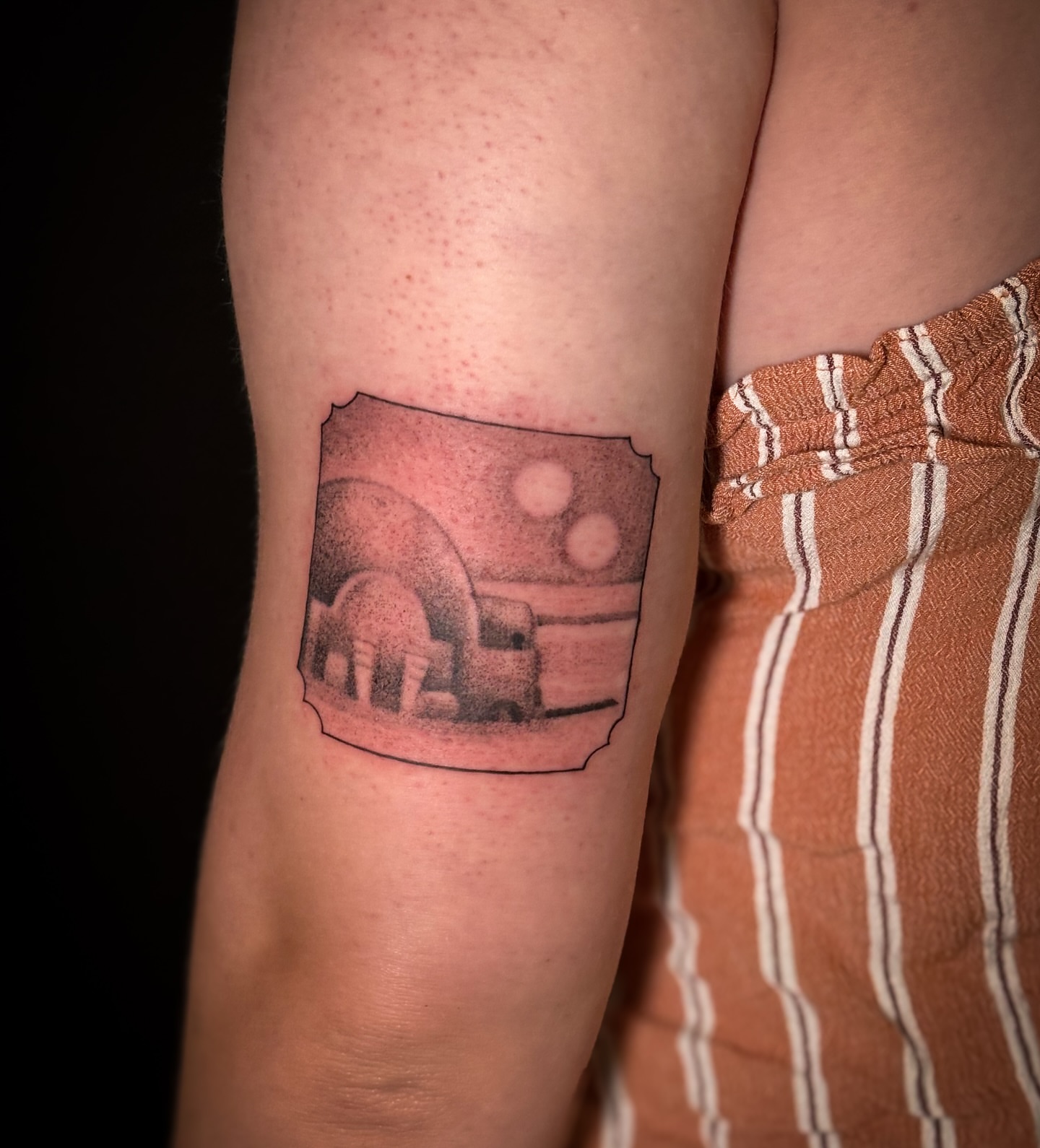 Desert landscape dotwork tattoo on the forearm by Sarah Sacco