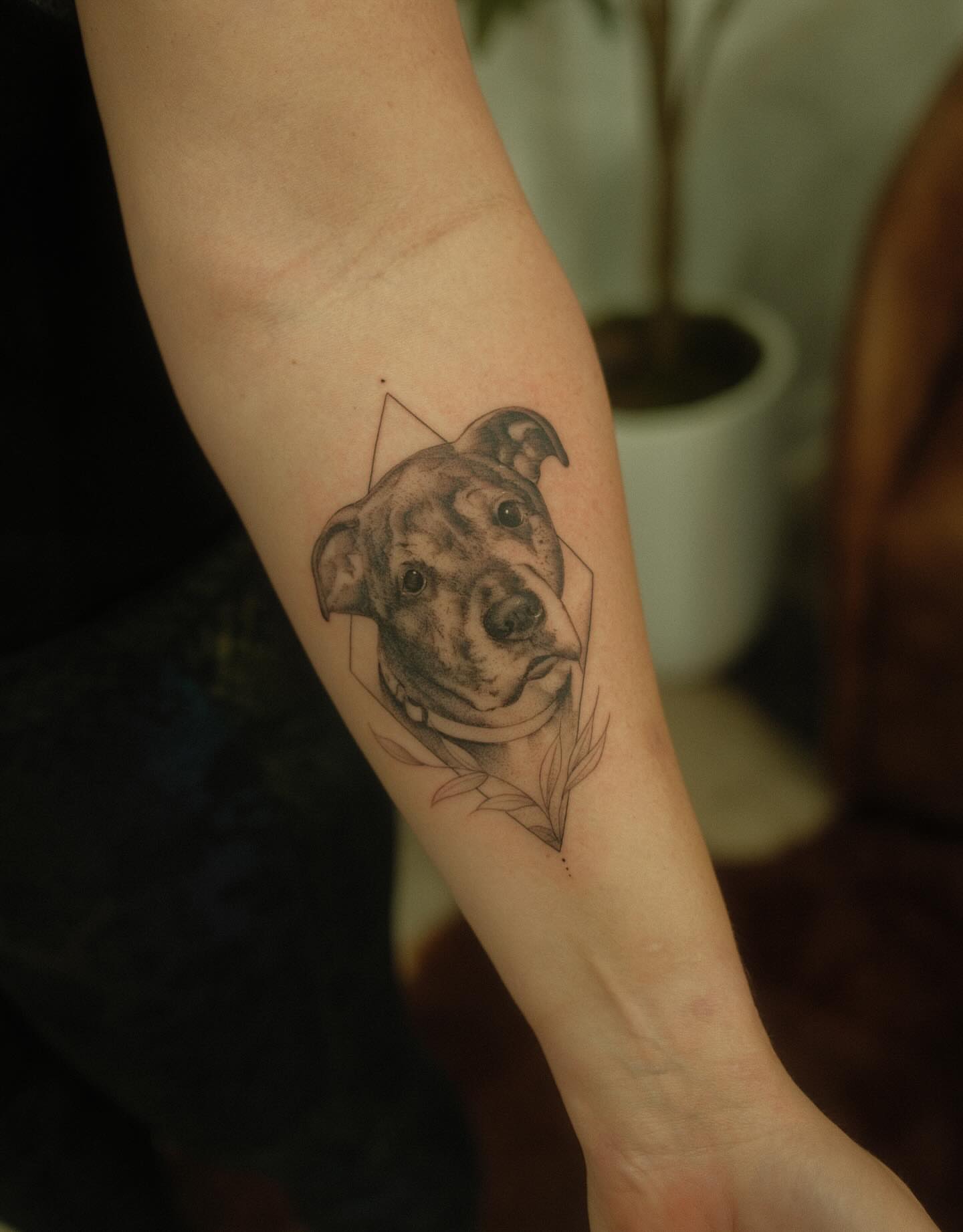 Dog realism tattoo on the forearm by Adriano Bassalo