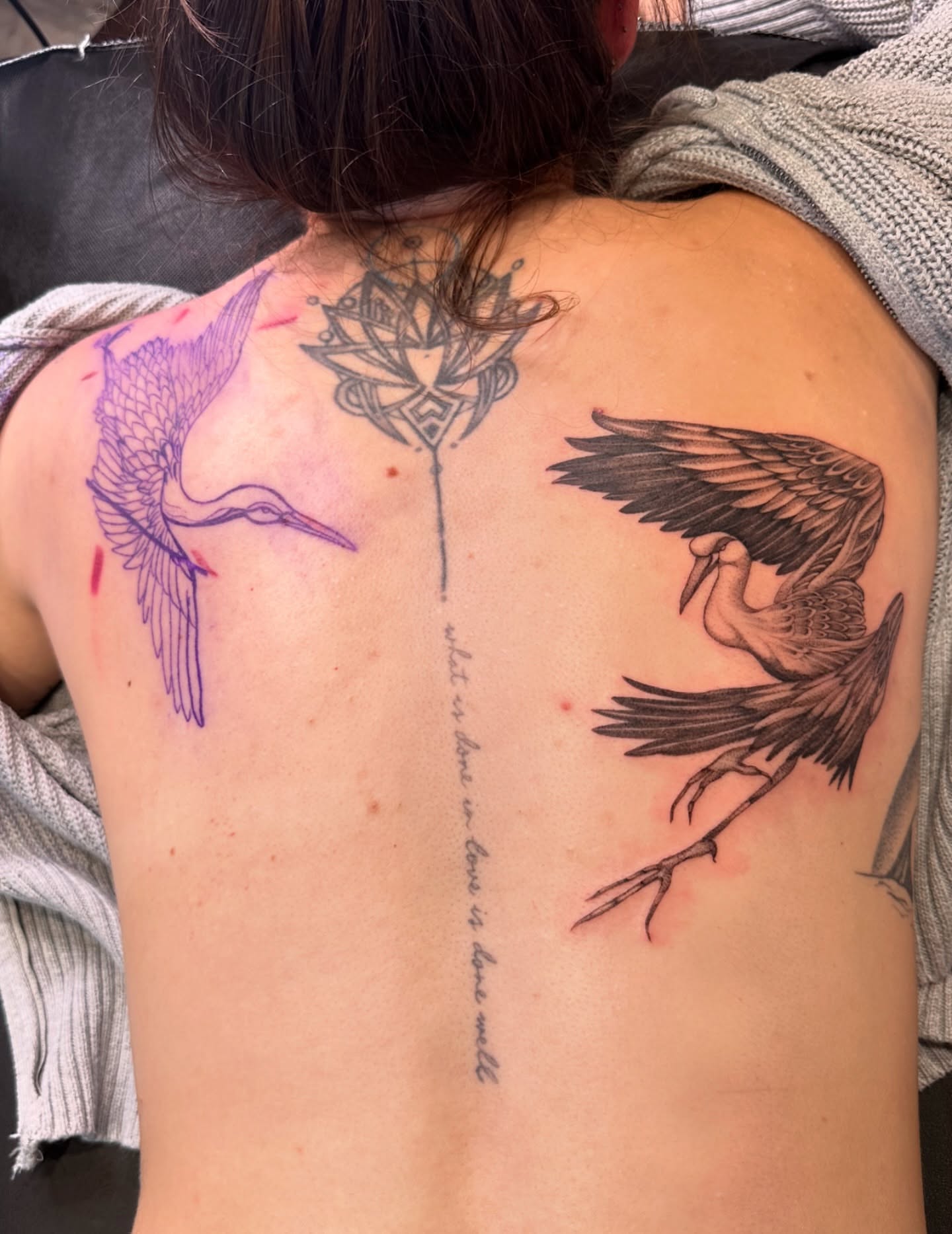 Storks and lotus neo-traditional tattoo on the back by cora cupid