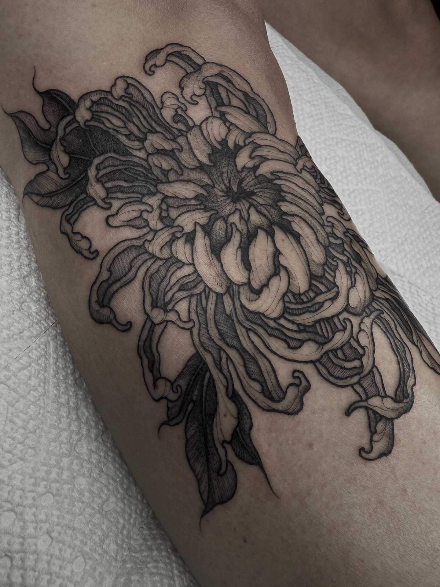Chrysanthemum black and grey tattoo on the forearm by π· C a t B l a c k π·οΈ