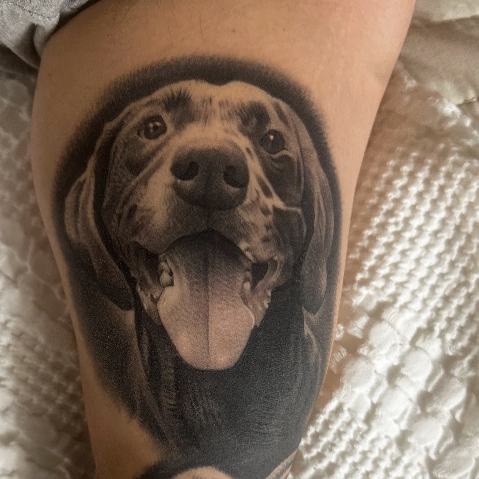 Dog realism tattoo on the thigh by 𝖃𝖆𝖛𝖎𝖊𝖗 𝕬. 𝕾𝖆𝖑𝖎𝖓𝖆𝖘