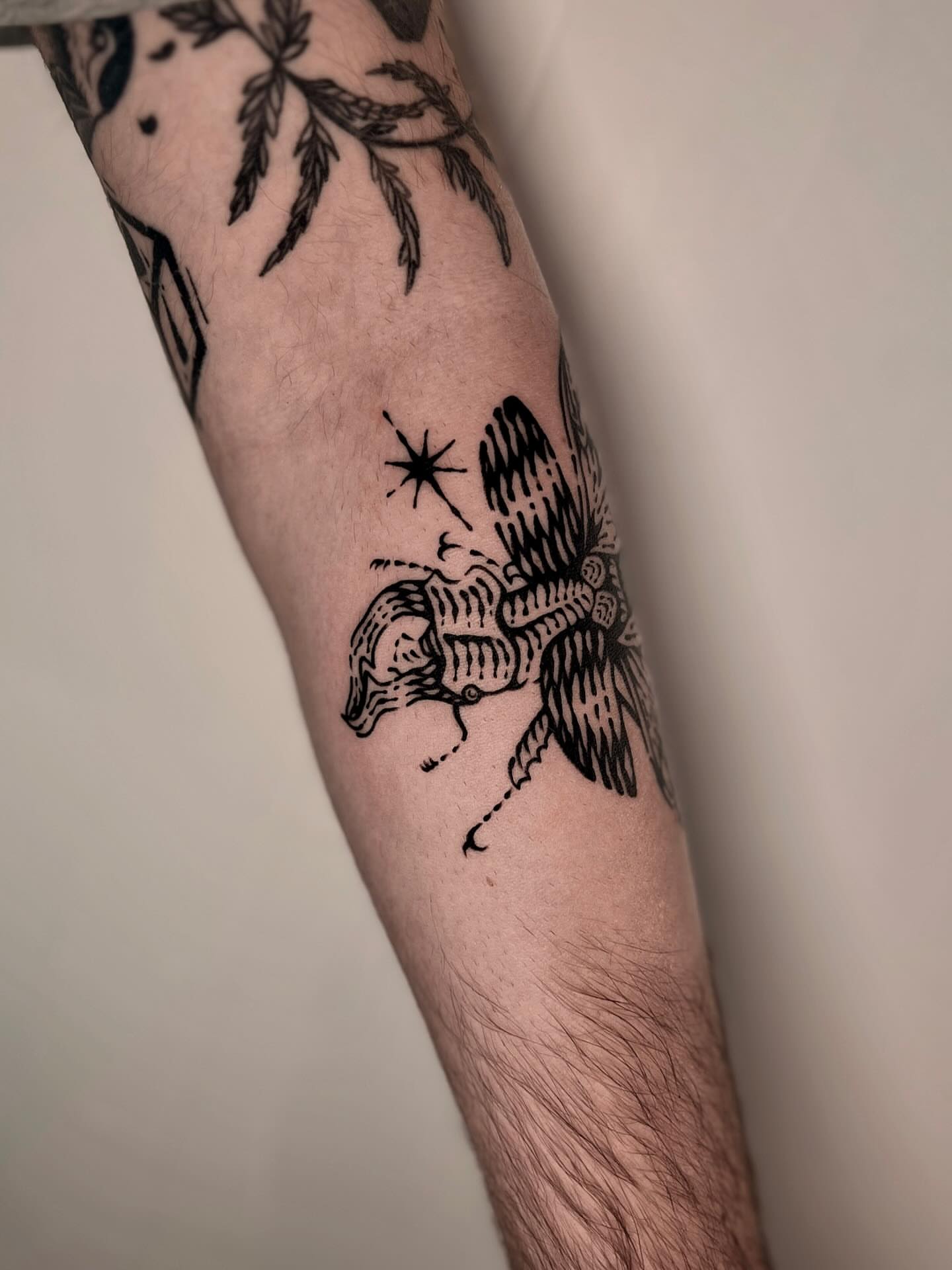 Bird and star black and grey tattoo on the forearm by Wonny
