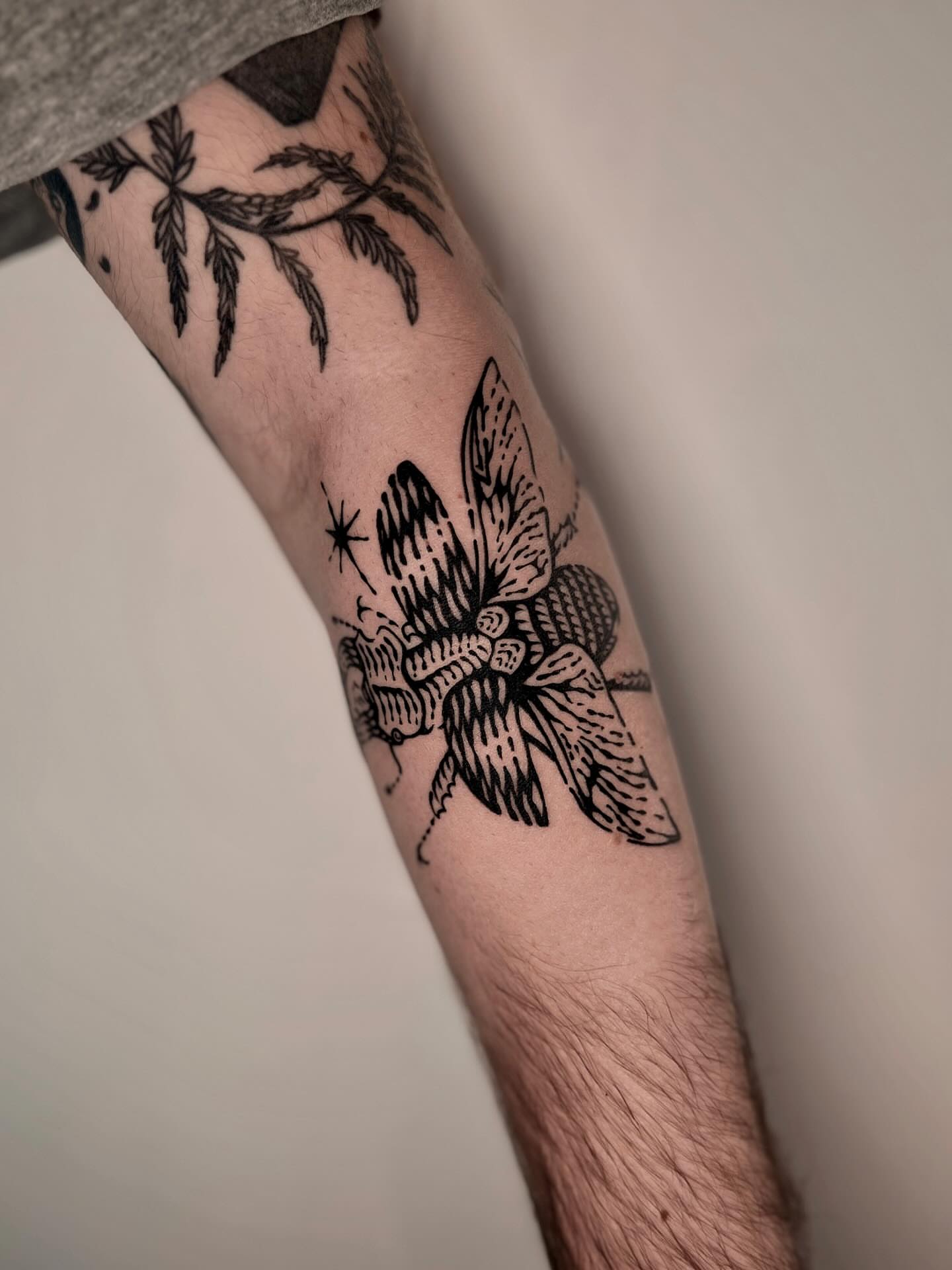 Moth black and grey tattoo on the forearm by Wonny