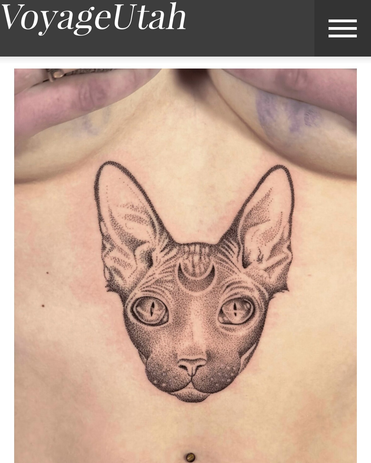 Cat dotwork tattoo on the chest by Chelsey