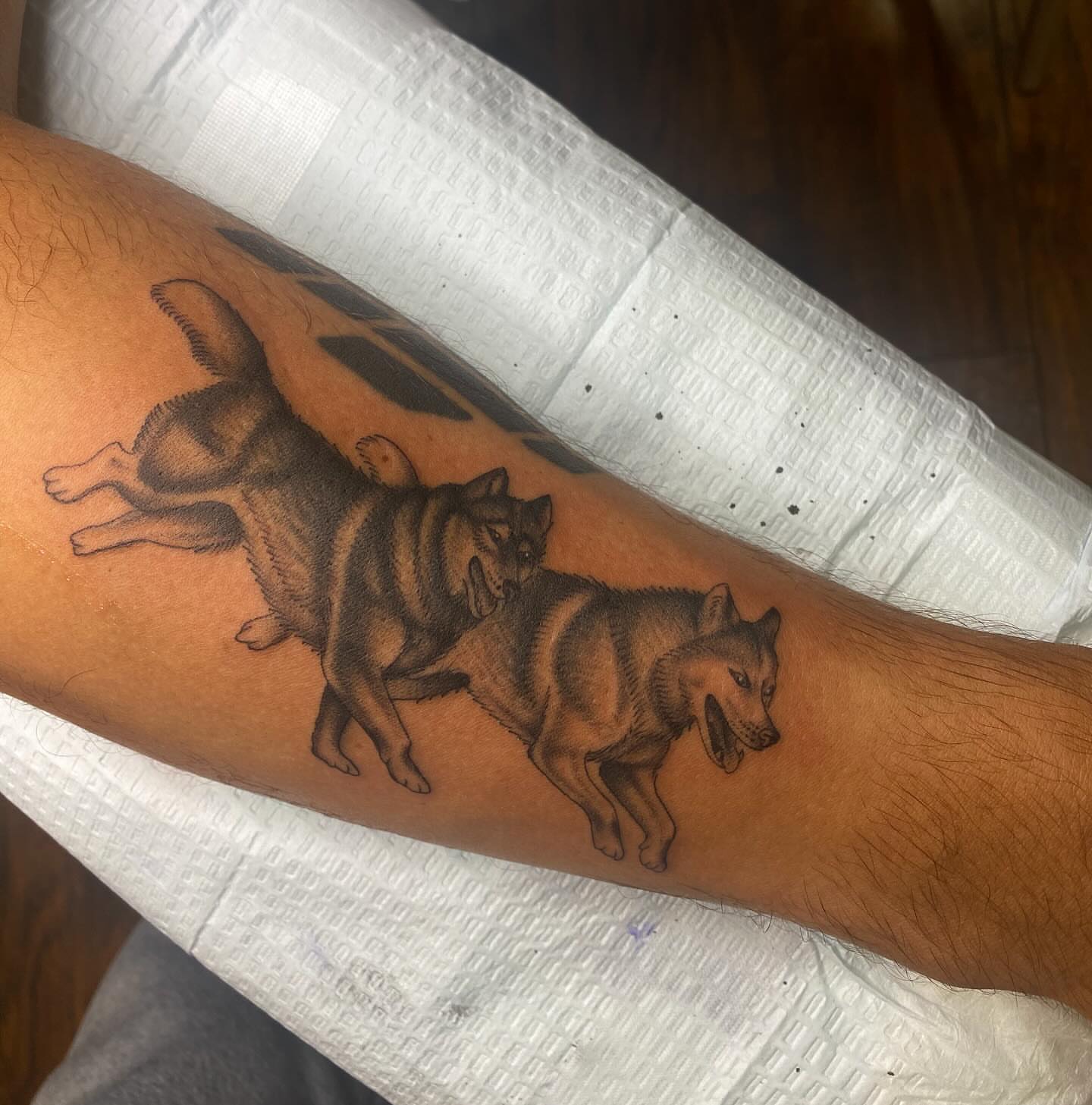 Wolves realism tattoo on the forearm by Thomas Cook