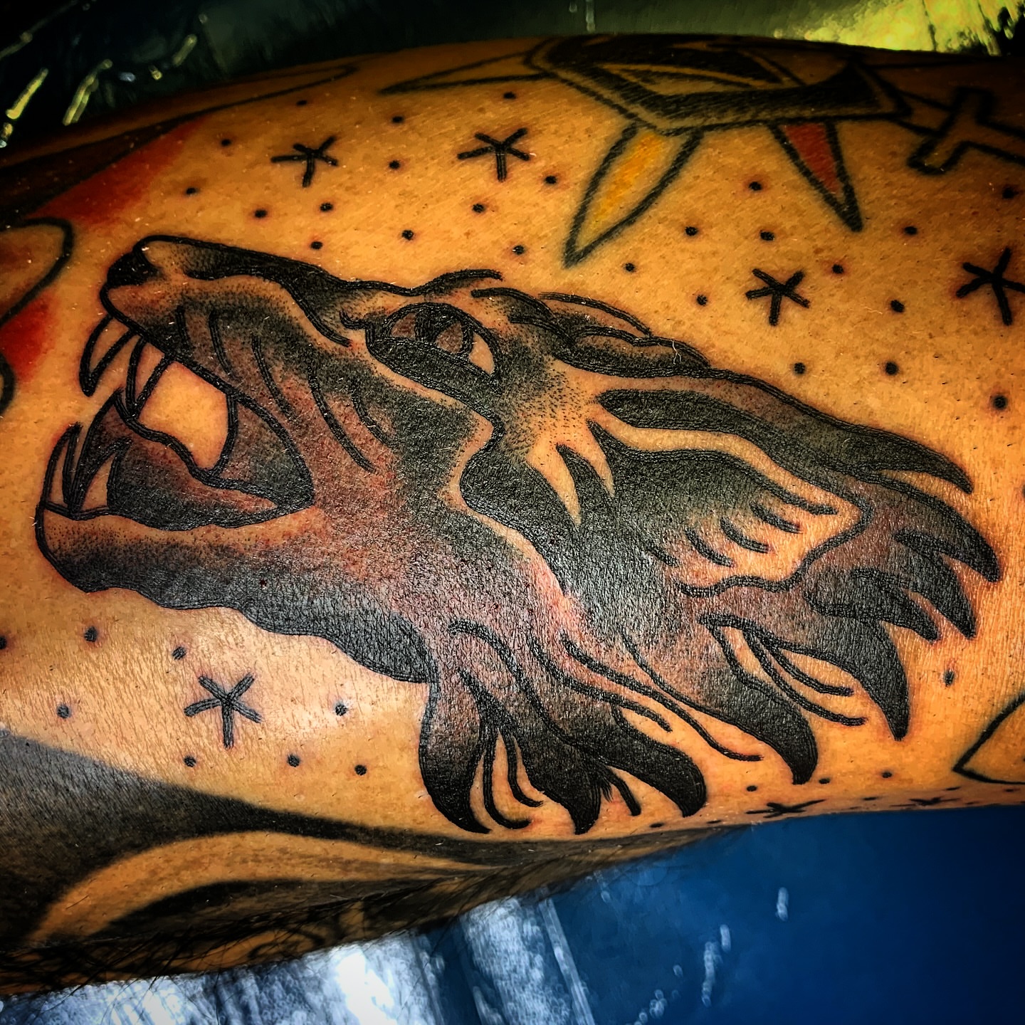 Wolf American traditional tattoo on the forearm by Tattoos Las Vegas,NV