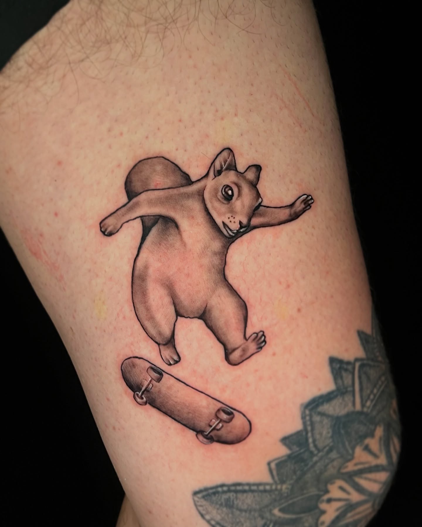 Cat on skateboard realism tattoo on the forearm by Jake, Salt Lake City, Utah