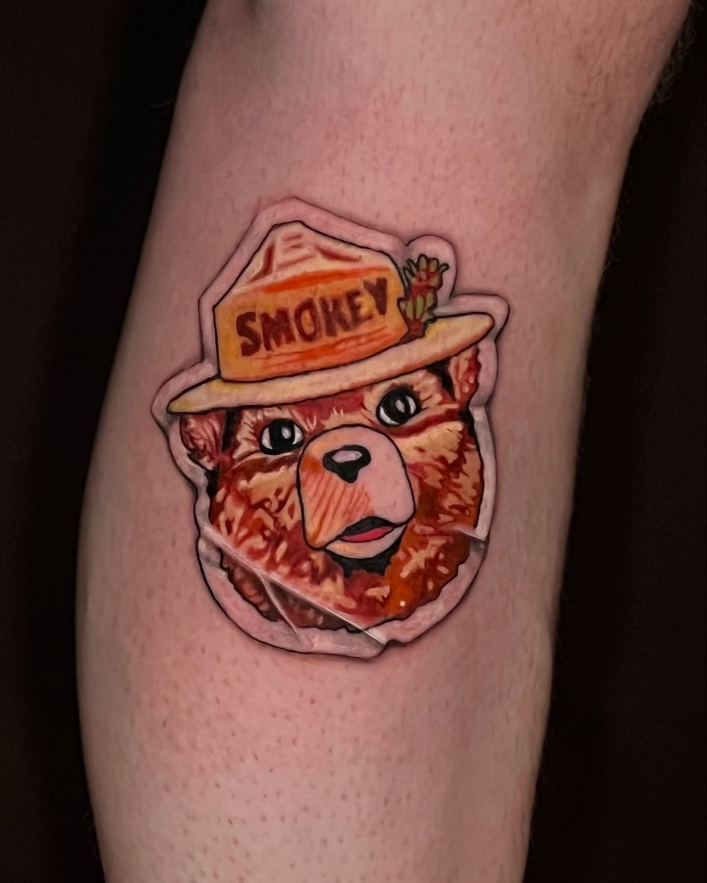 Smokey bear realism tattoo on the forearm by Jake, Salt Lake City, Utah