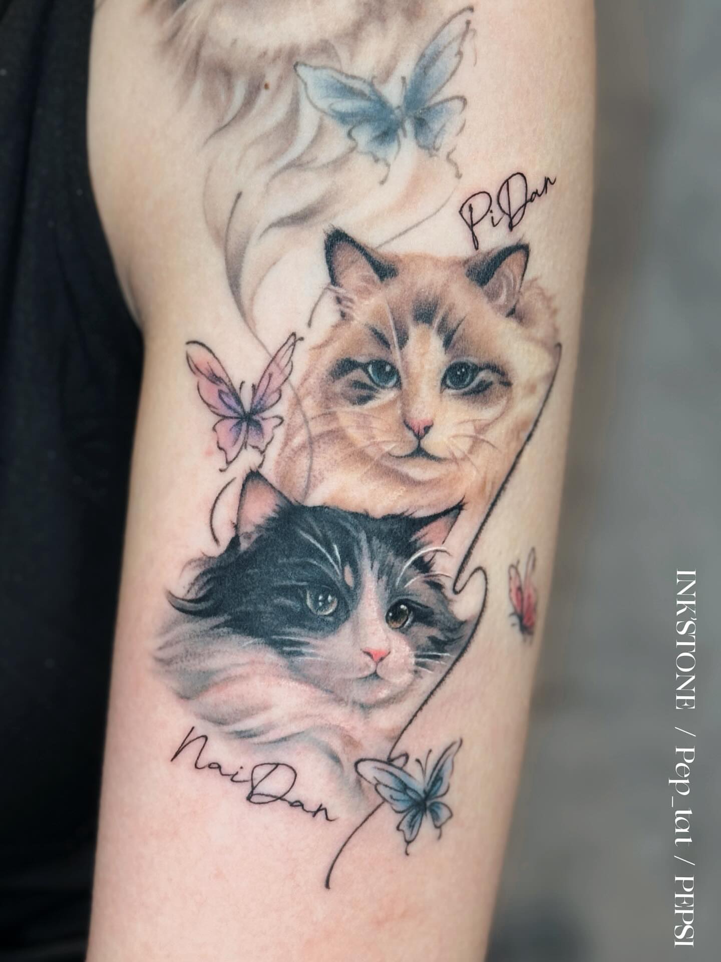 Cats and butterflies realism tattoo on the forearm by 𝕁𝕖𝕞, Richmond, British Columbia
