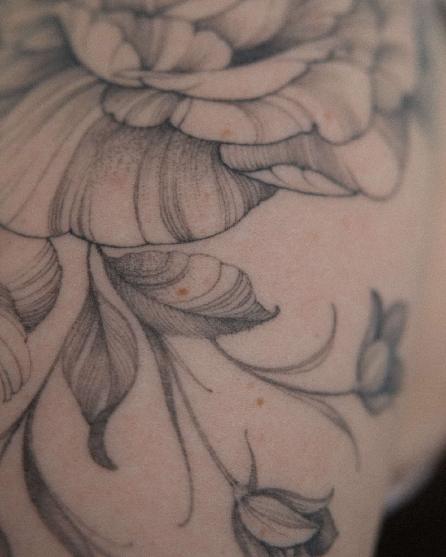 Tattoo by @yuyutattoo — black_and_grey
