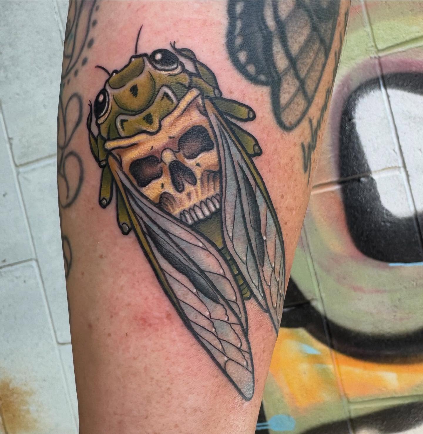 Cicada realism tattoo on the forearm by Nikki Powills