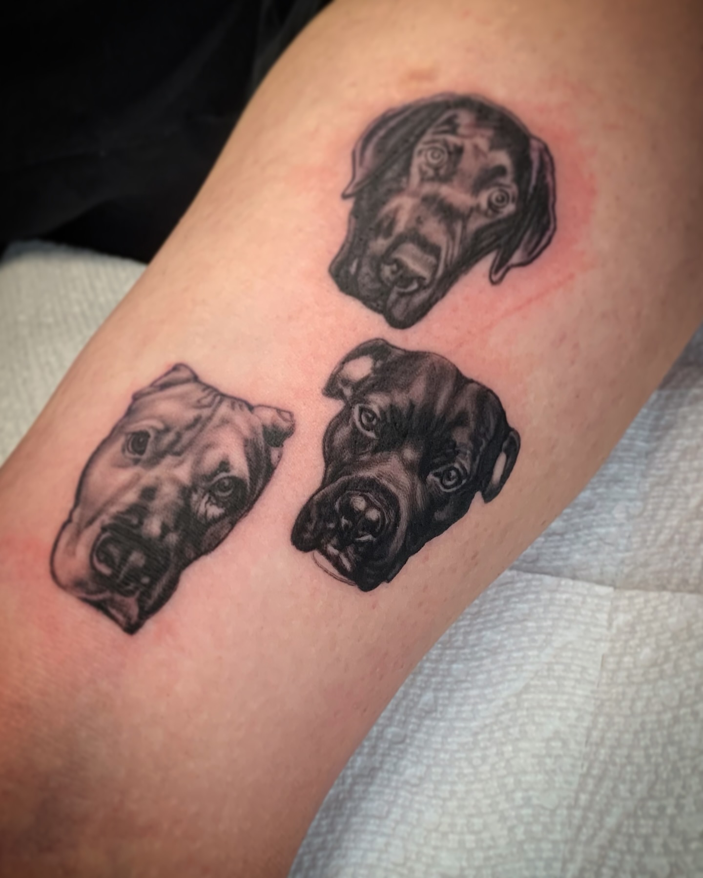 Tattoo by @jimboslicetat2 — realism