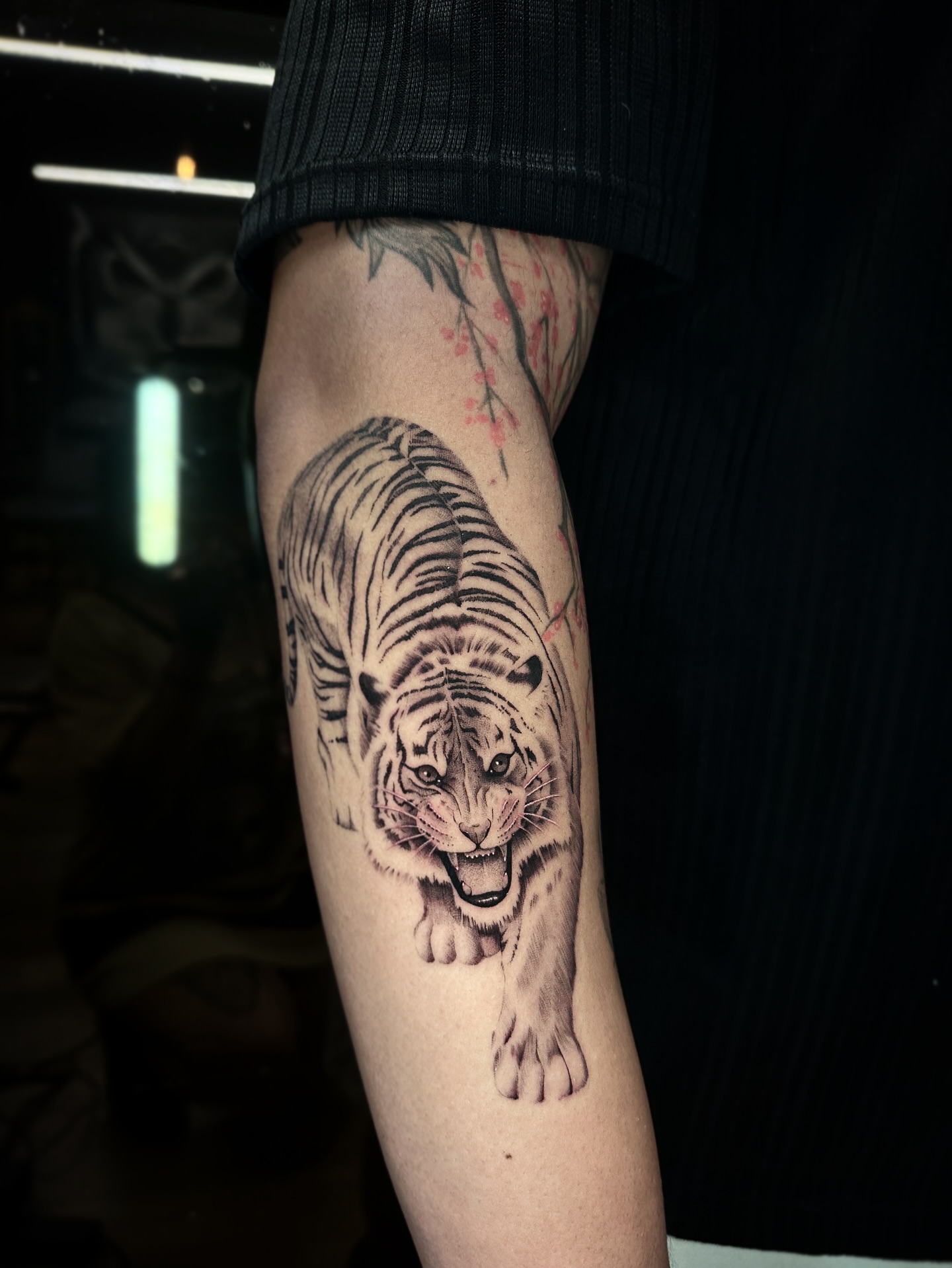 Tiger black and grey tattoo on the forearm by πΈππππ