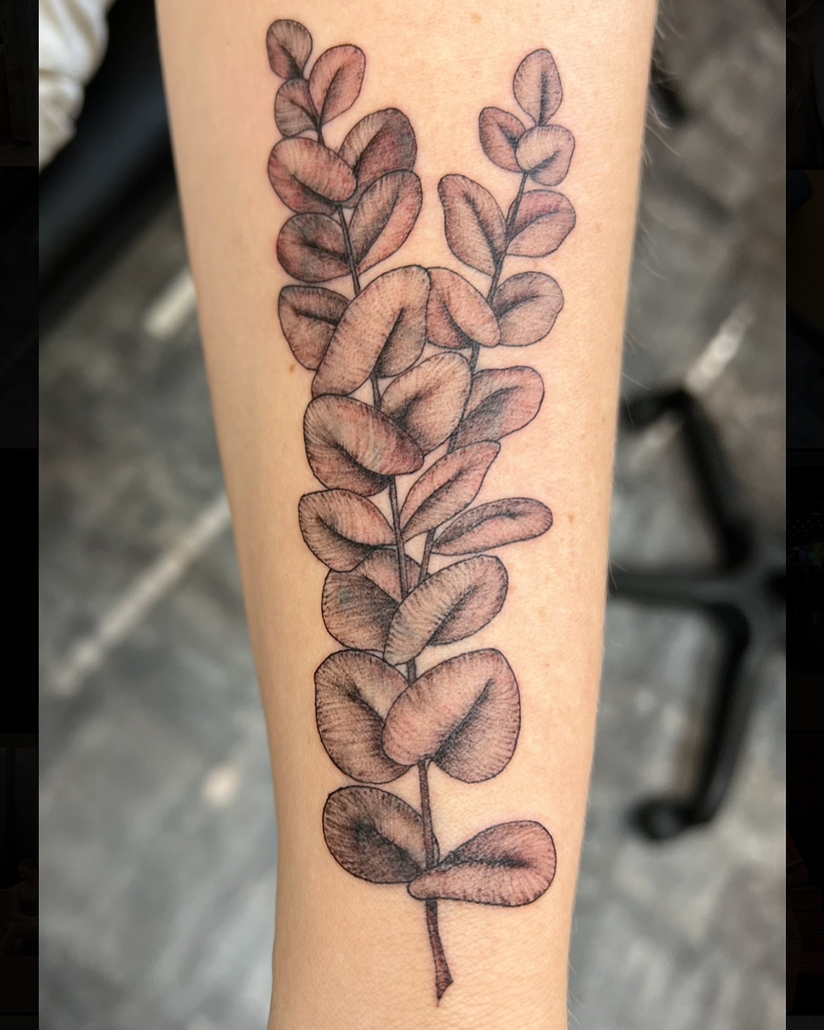Eucalyptus branch black and grey tattoo on the forearm by Cortnie, Nashville, Tennessee