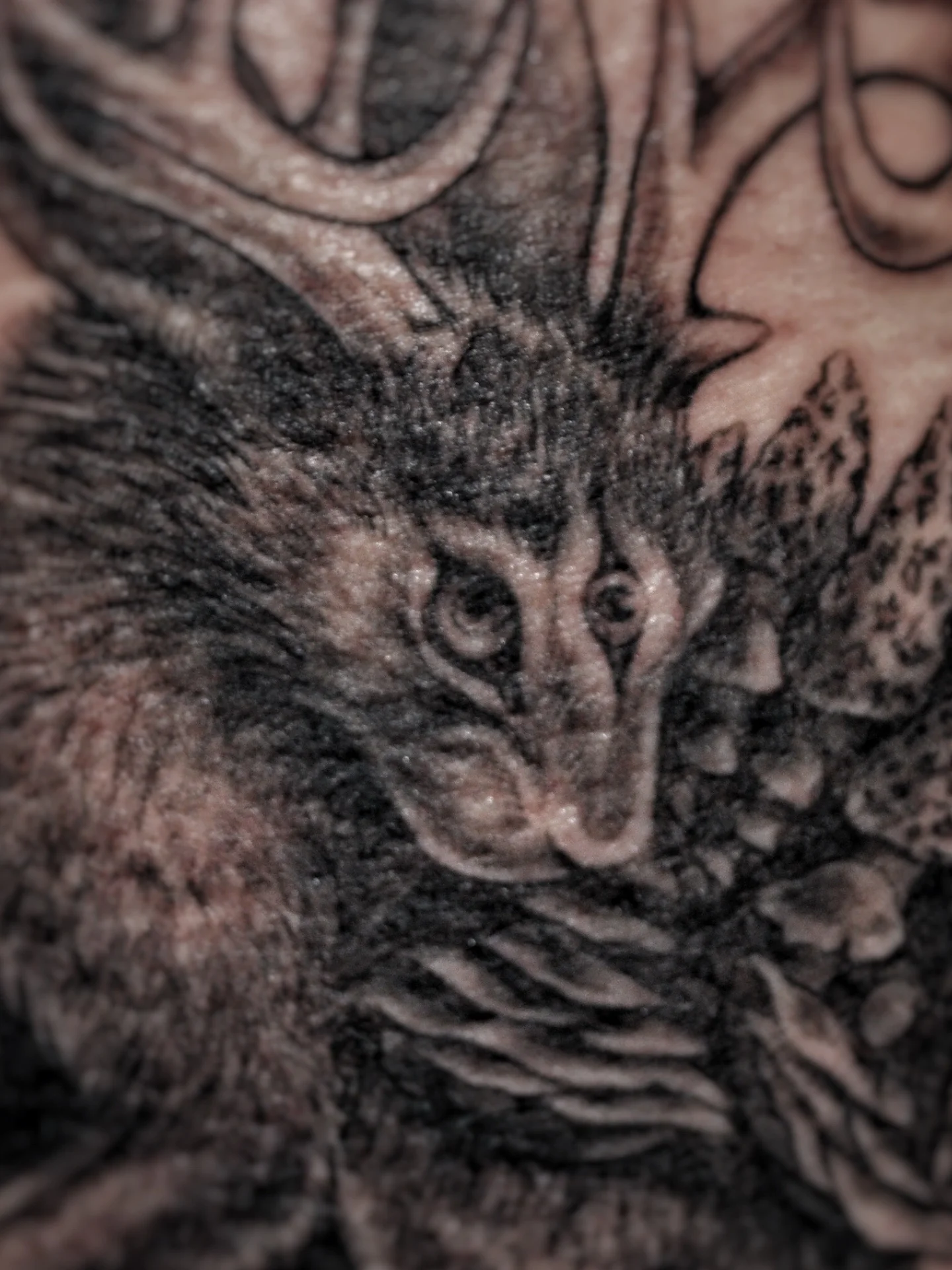 Badger black and grey tattoo on the torso by Bek Artz