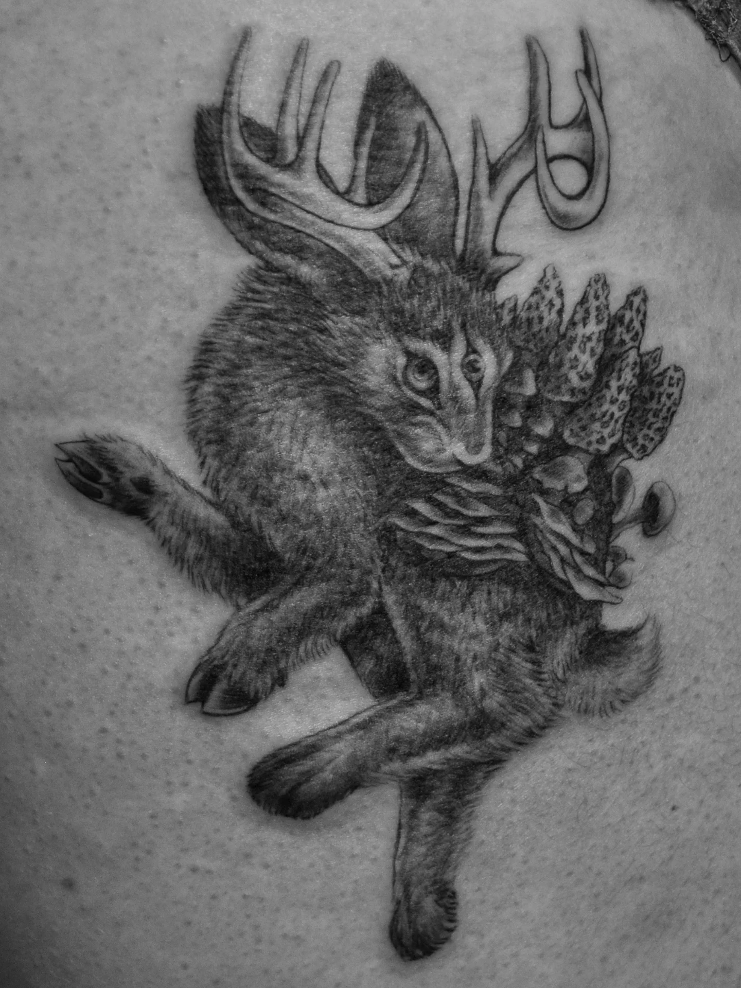 Rabbit with antlers realism tattoo by Bek Artz