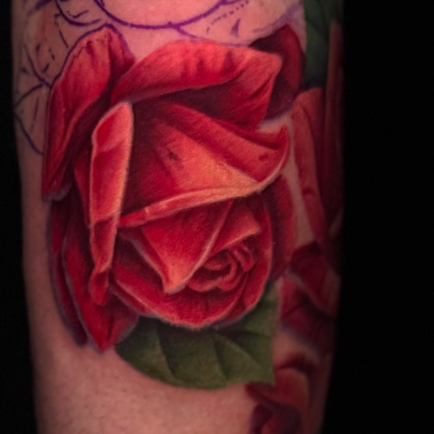 Red rose realism tattoo on the forearm by James Hall