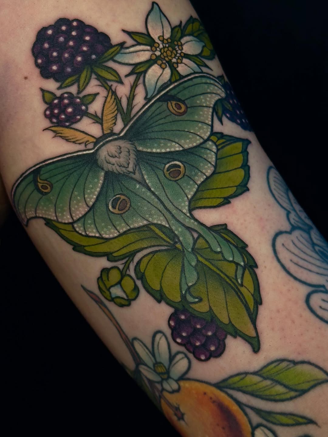 Tattoo by @staghorntattoo — neo_traditional, realism