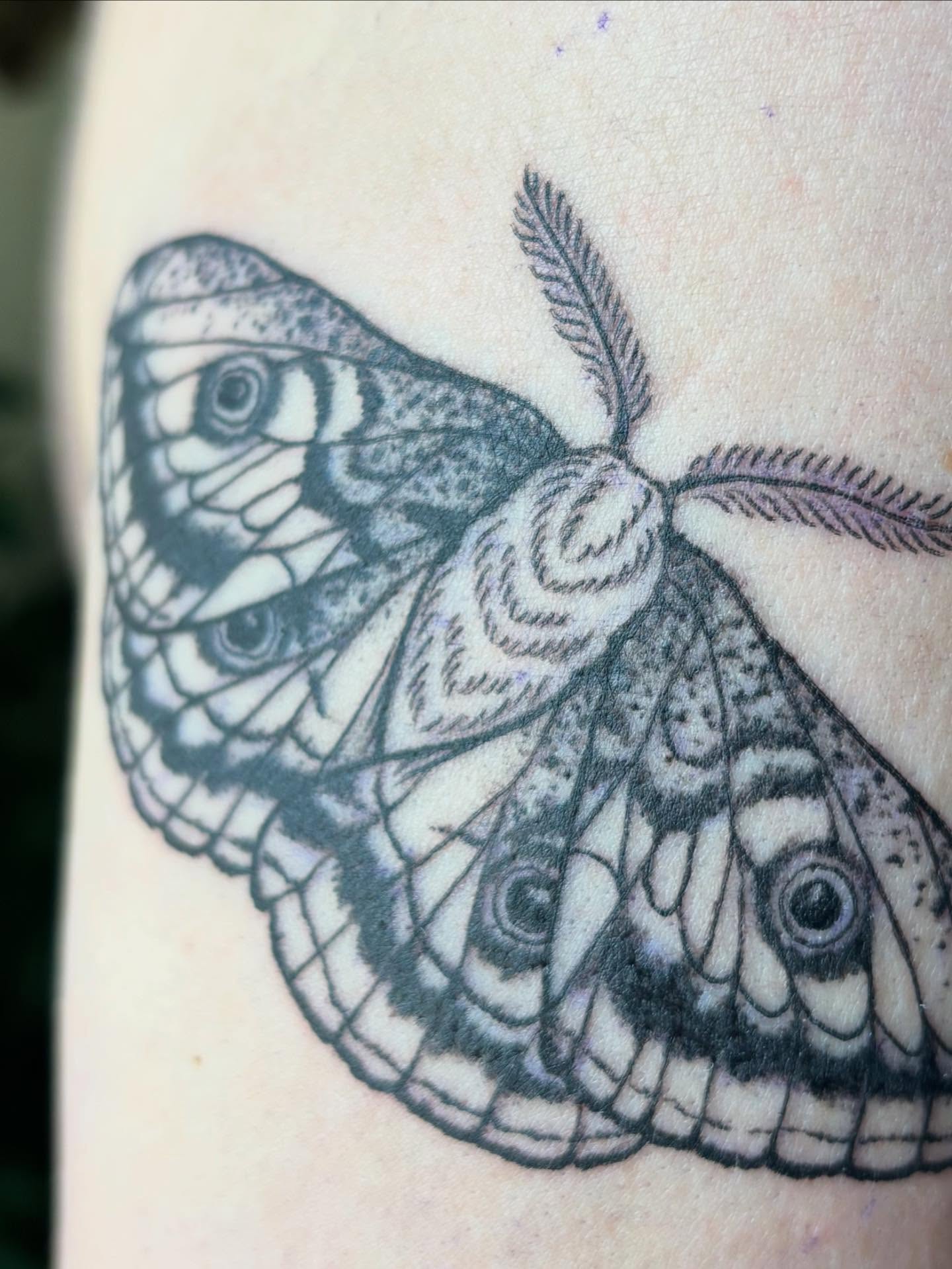 Butterfly black and grey tattoo on the forearm by Anna Kathleen, Des Moines, Iowa