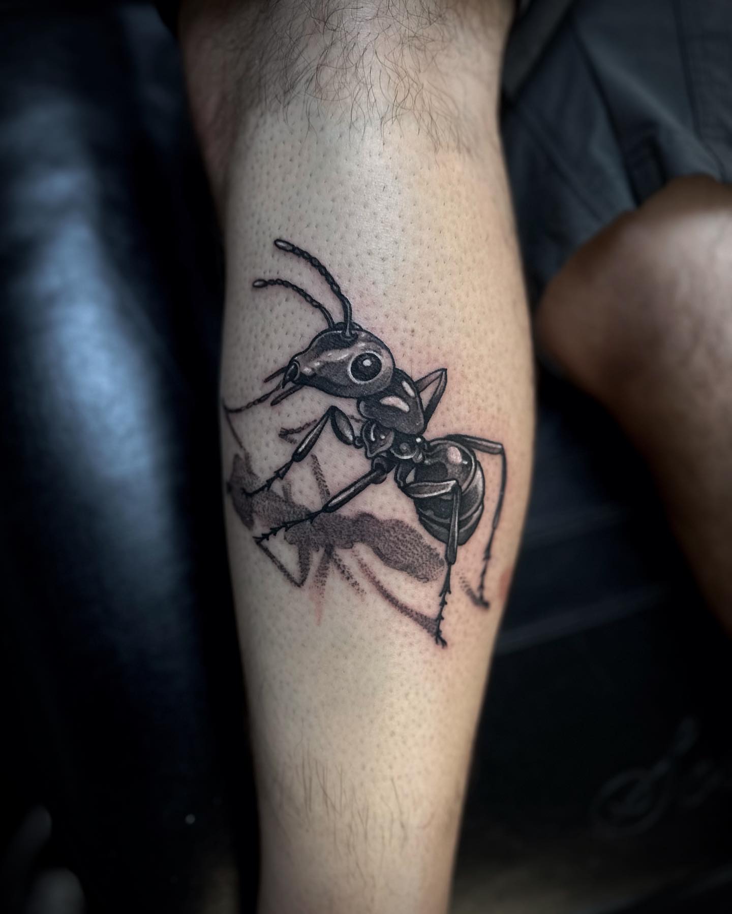 Ant realism tattoo on the forearm by 𝕽𝖎𝖌𝖊𝖗𝖘 𝕳𝖆𝖒𝖟𝖆, San Francisco, California