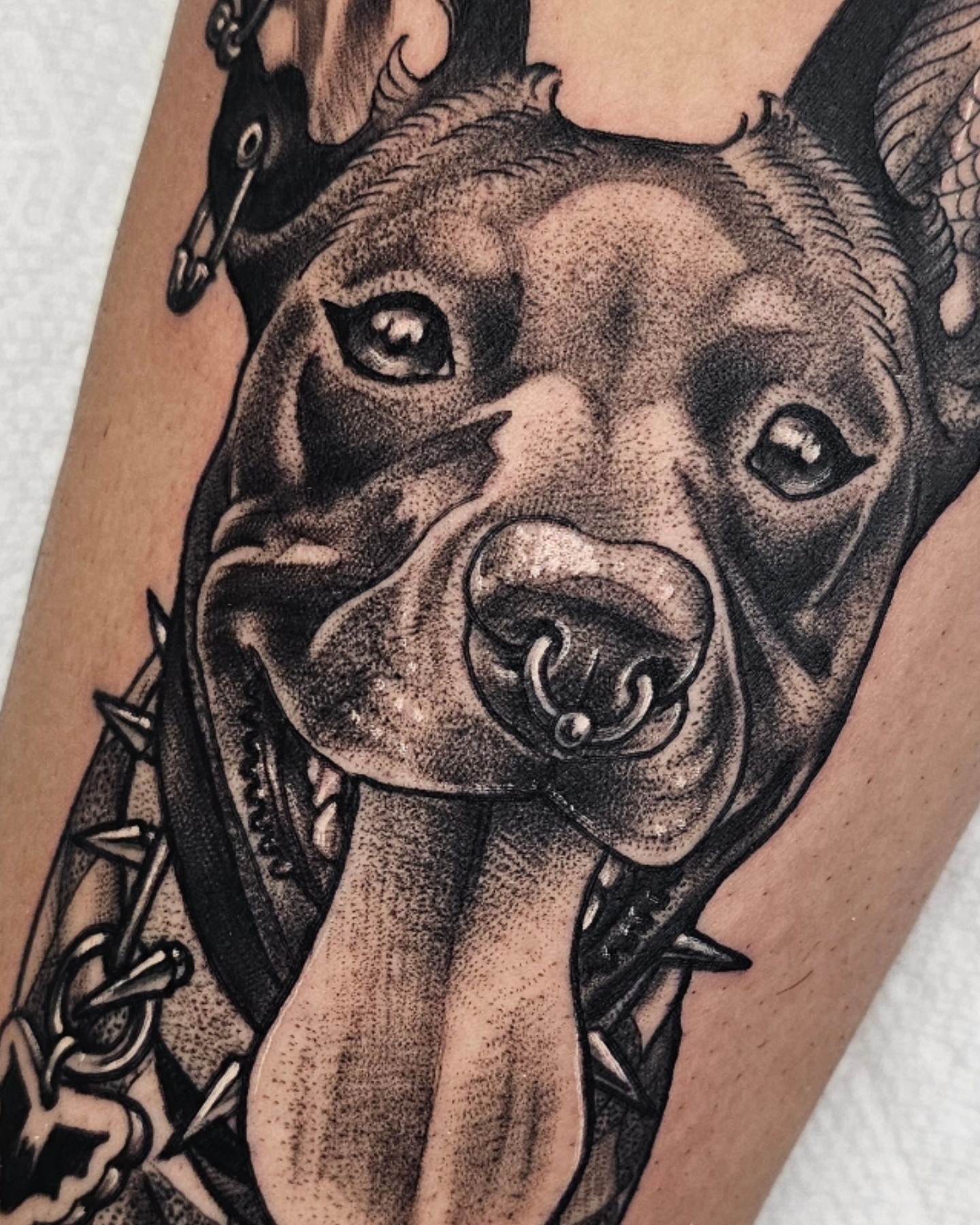 Pitbull dotwork tattoo on the forearm by Shannon