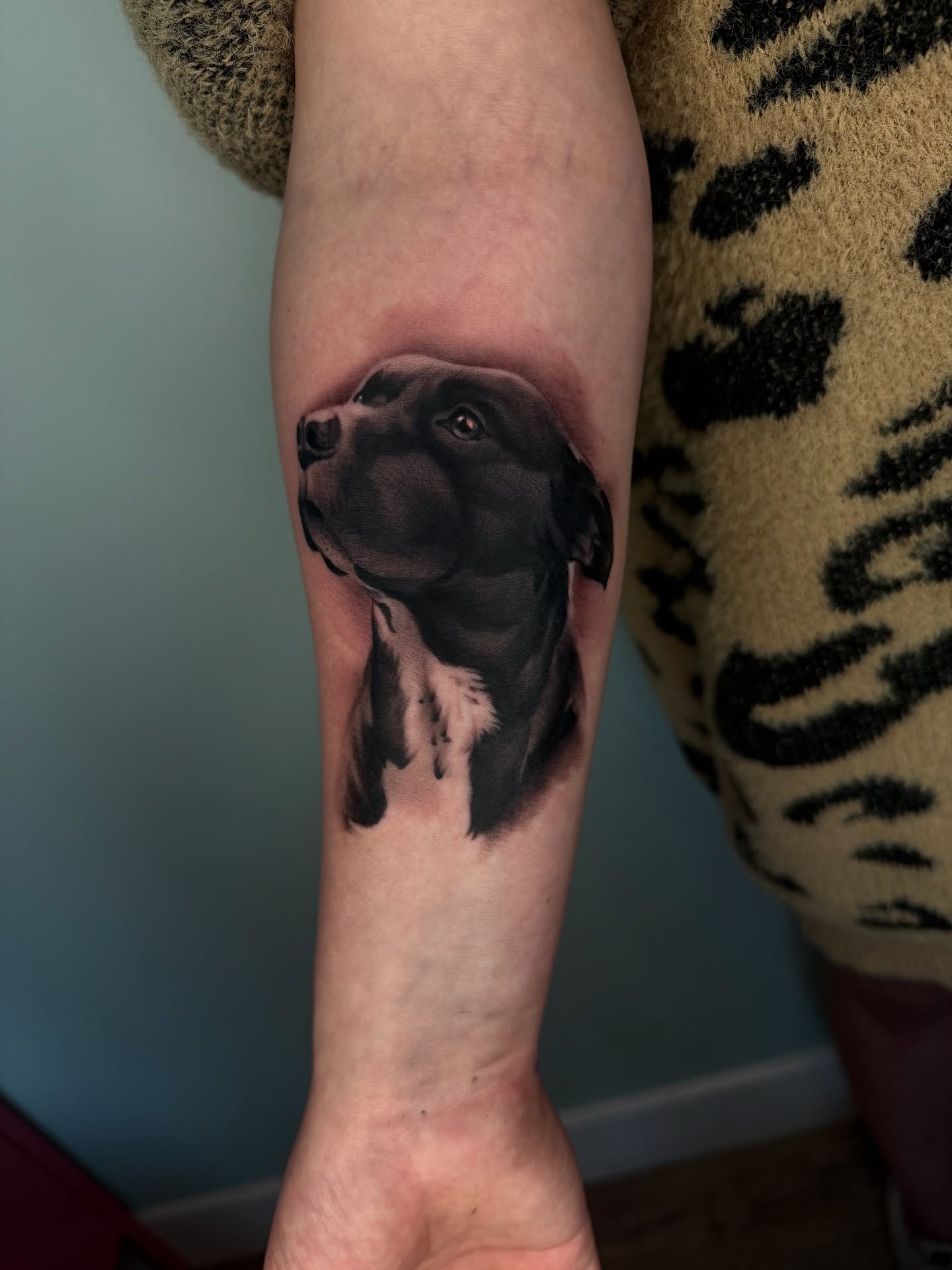 Dog realism tattoo on the forearm by Angel, Salt Lake City, Utah