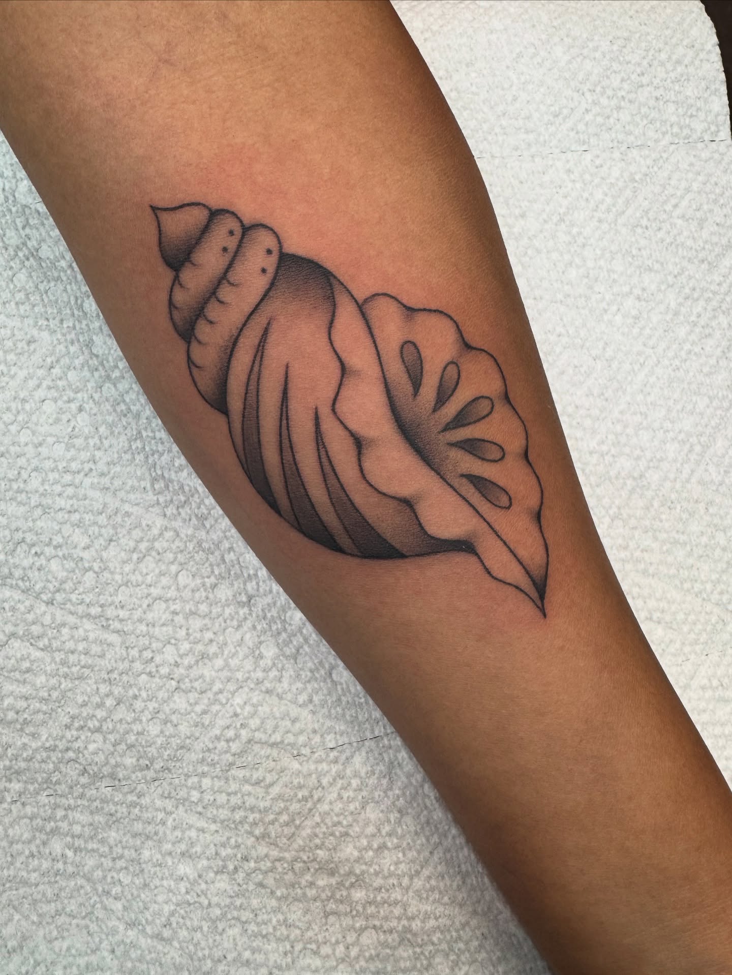 Shell and leaf black and grey tattoo on the forearm by Hali Larkin