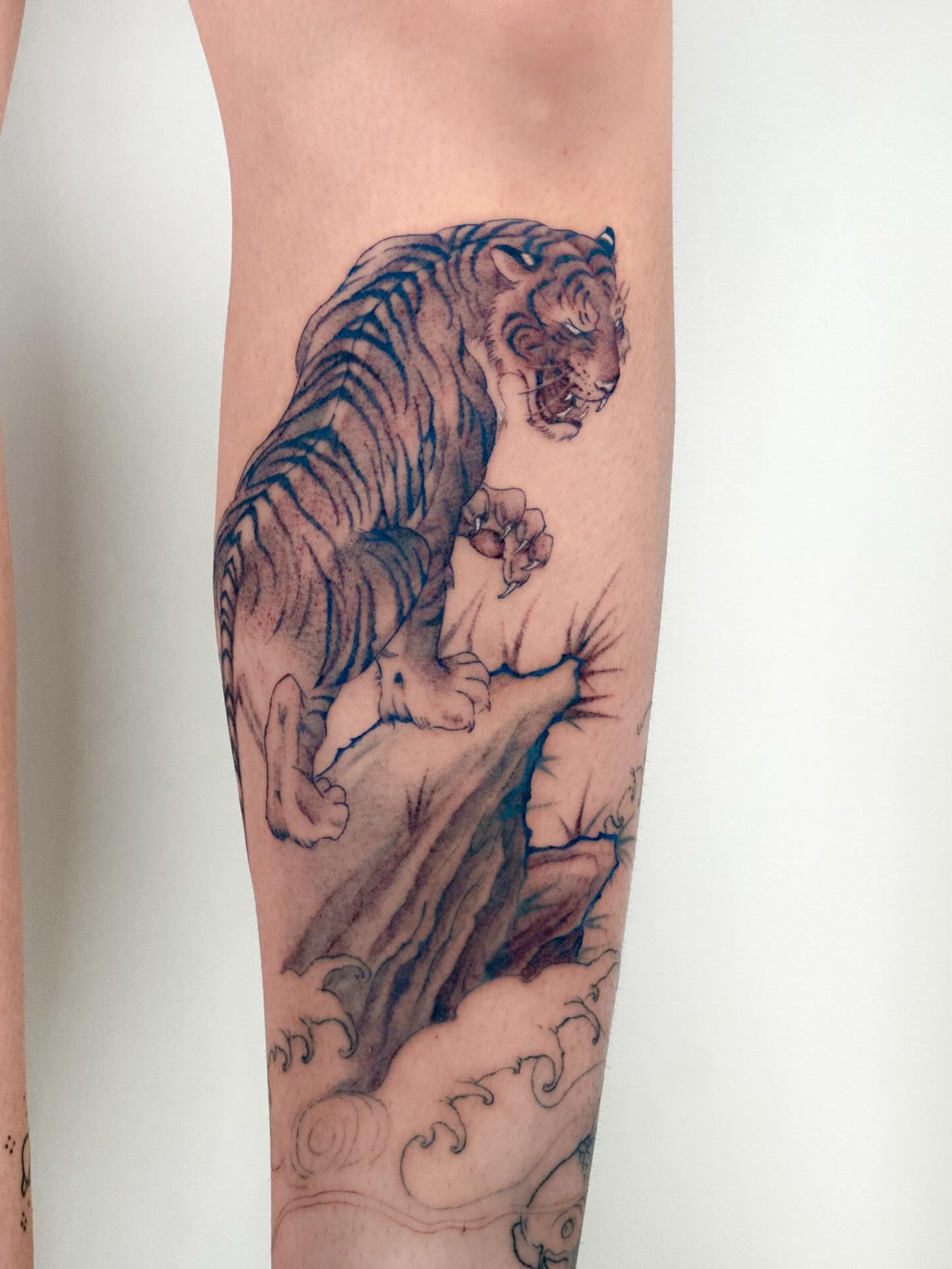 Tiger japanese irezumi tattoo on the forearm by Vince Lau