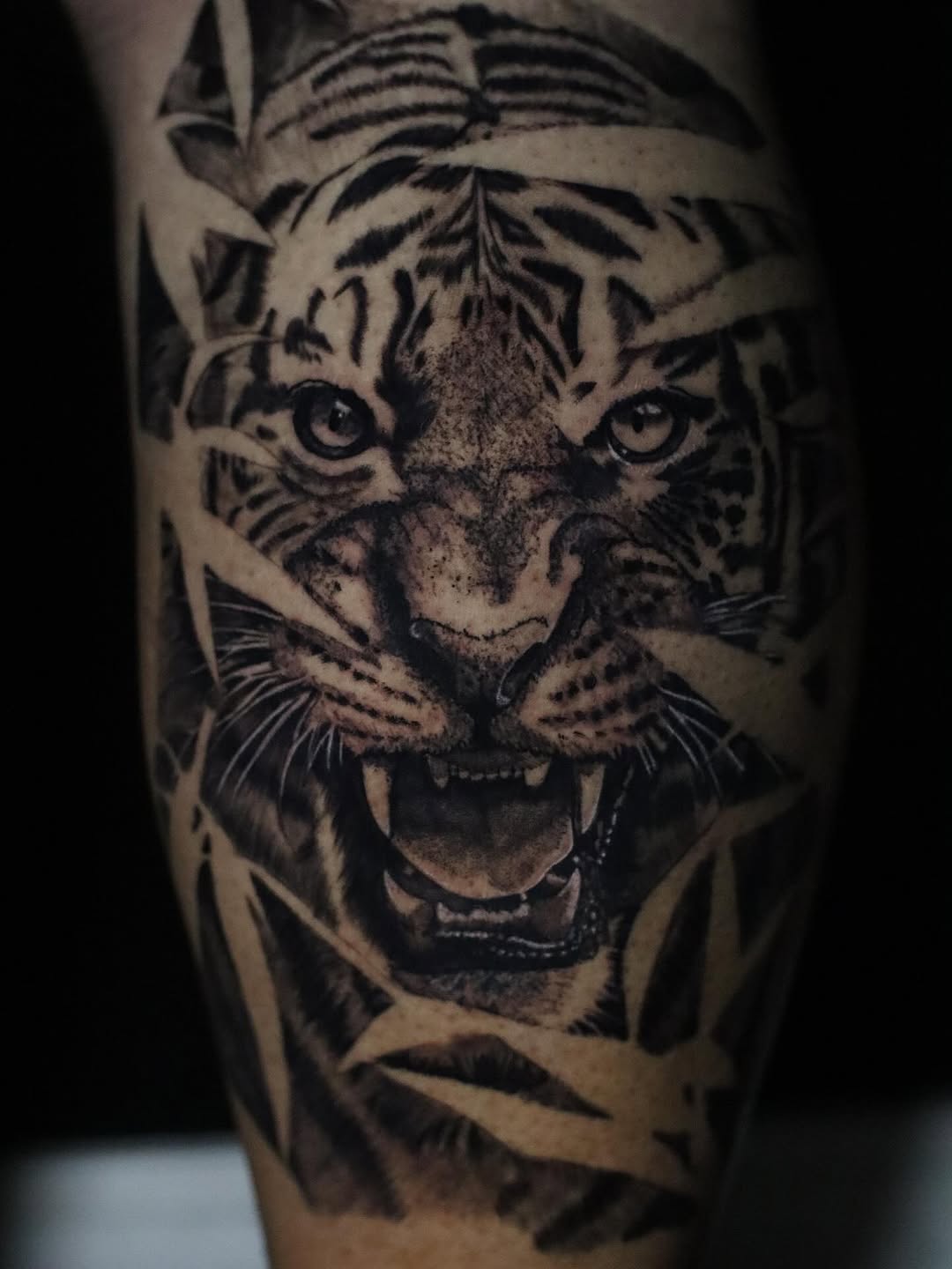 Tiger face realism tattoo on the forearm by 𝕸 𝖆 𝖓 𝖔 𝖑 𝖔