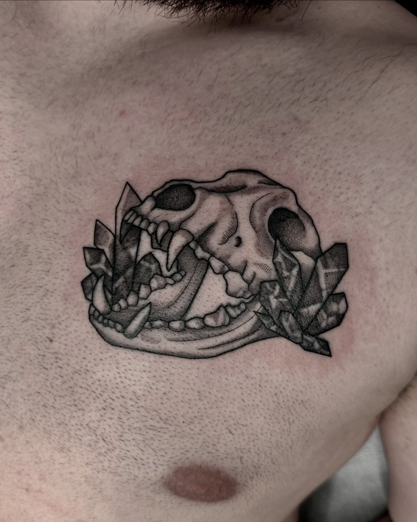 Skull and crystals realism tattoo on the chest by Emersyn DeLuna