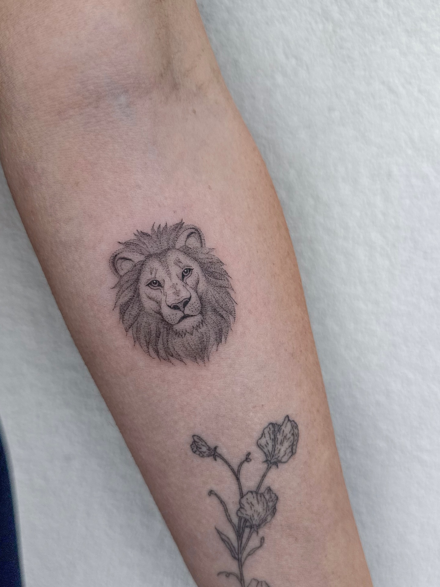 Lion realism tattoo on the forearm by Abby Robinson