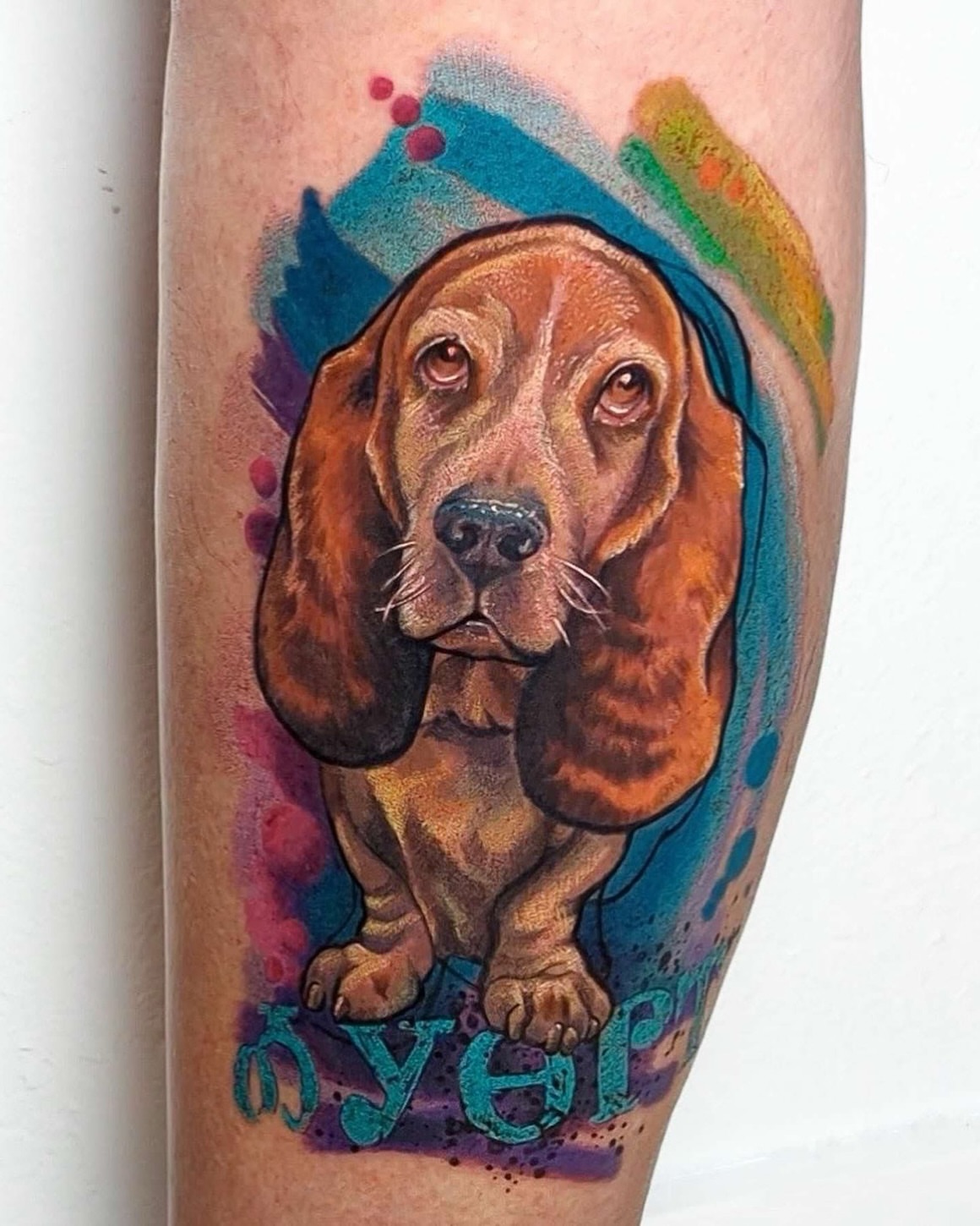 Basset hound realism tattoo on the forearm by Amy Zager