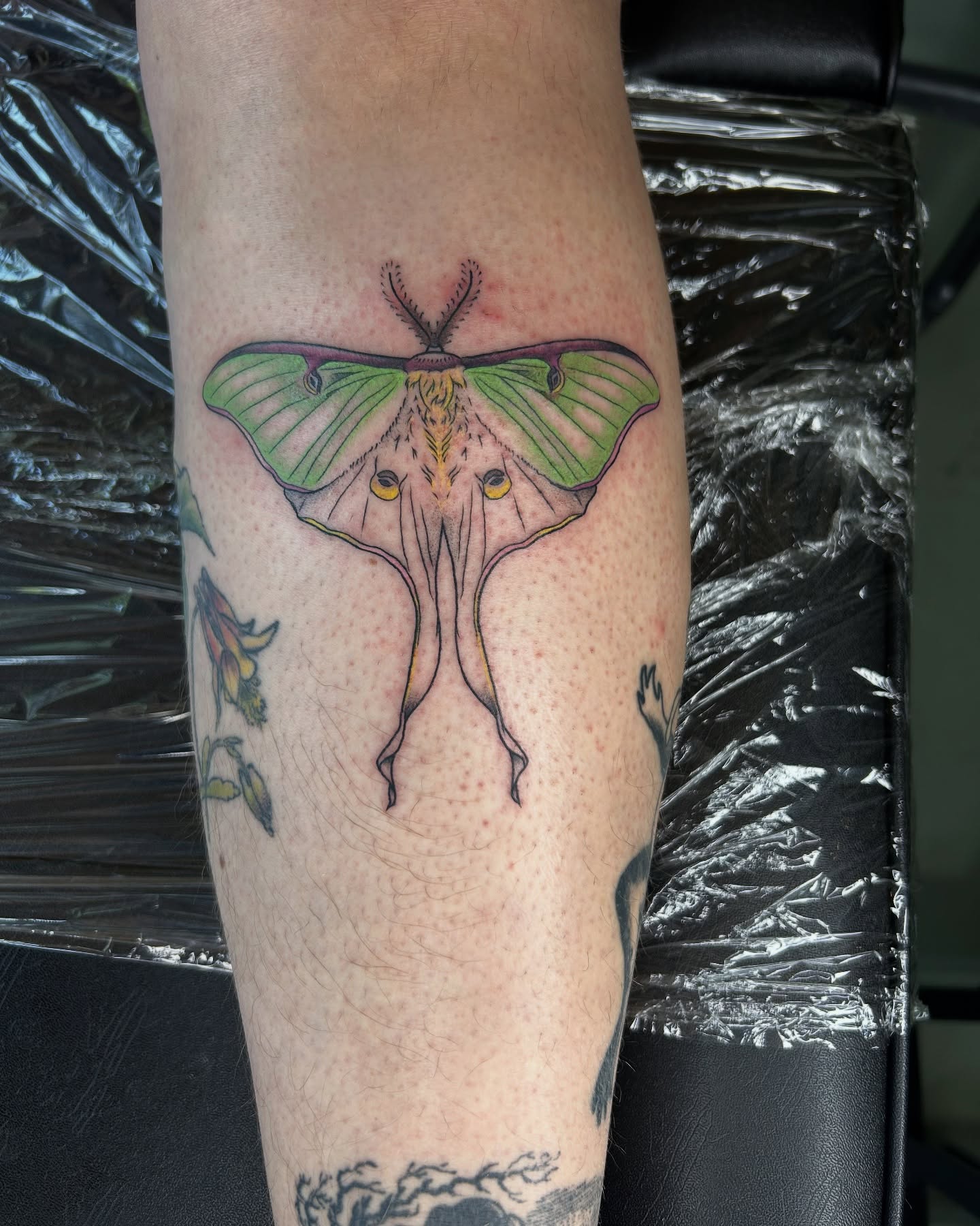 Moon moth dotwork tattoo on the forearm by King By Trade 👑