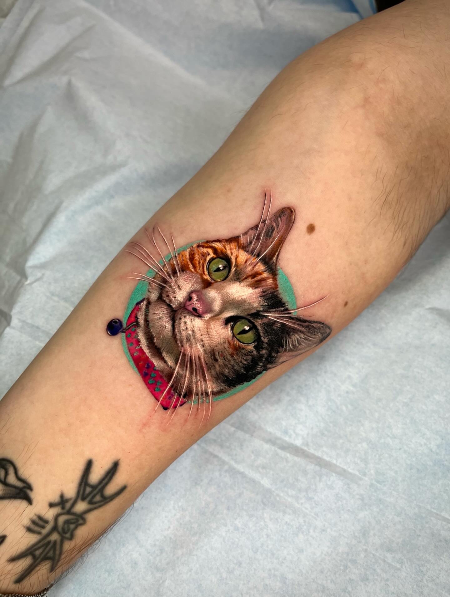 Cat realism tattoo on the forearm by Martha Gual π€ East ATX Tattooer