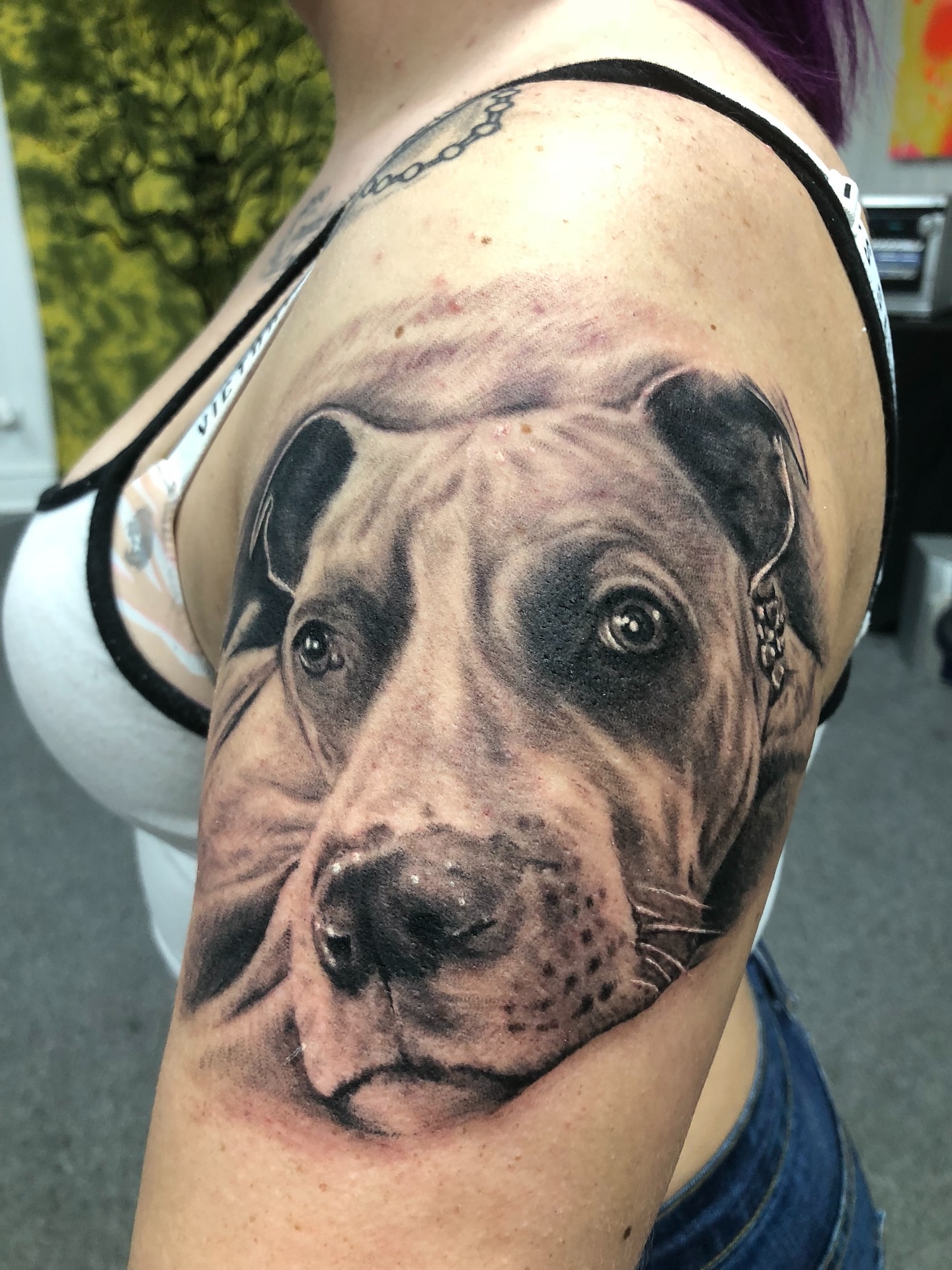 Pit bull realism tattoo on the shoulder by Ray Wiggins