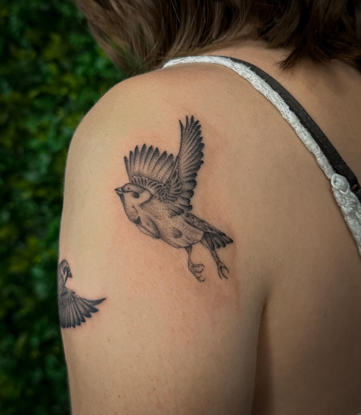 Bird black and grey tattoo on the shoulder by 𝑰𝒍𝒍𝒖𝒔𝒕𝒓𝒂𝒕𝒊𝒗𝒆 𝑵𝒂𝒕𝒖𝒓𝒆 𝑻𝒂𝒕𝒕𝒐𝒐 𝑨𝒓𝒕𝒊𝒔𝒕