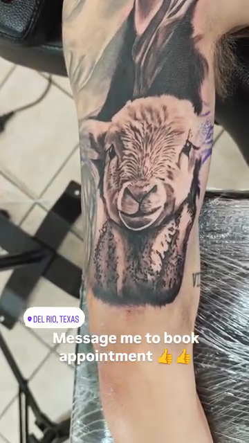 Lamb portrait realism tattoo by Efren Del Rio