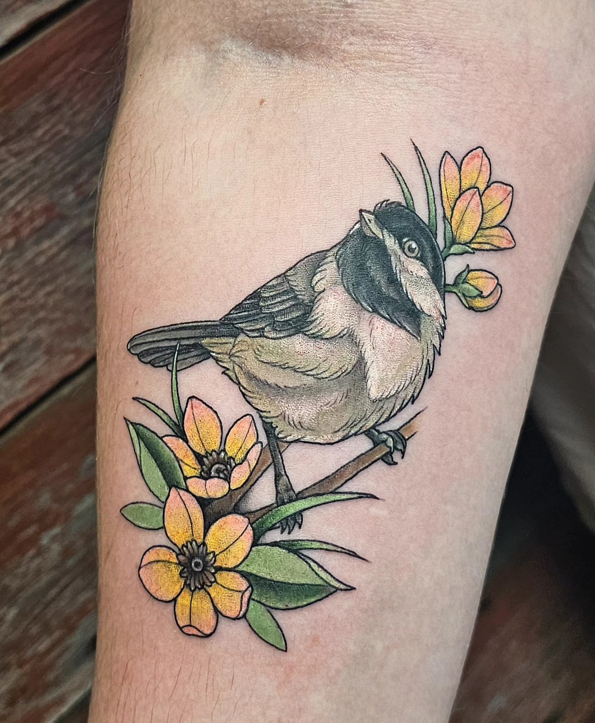 Tattoo by @plaidbear_designco — realism