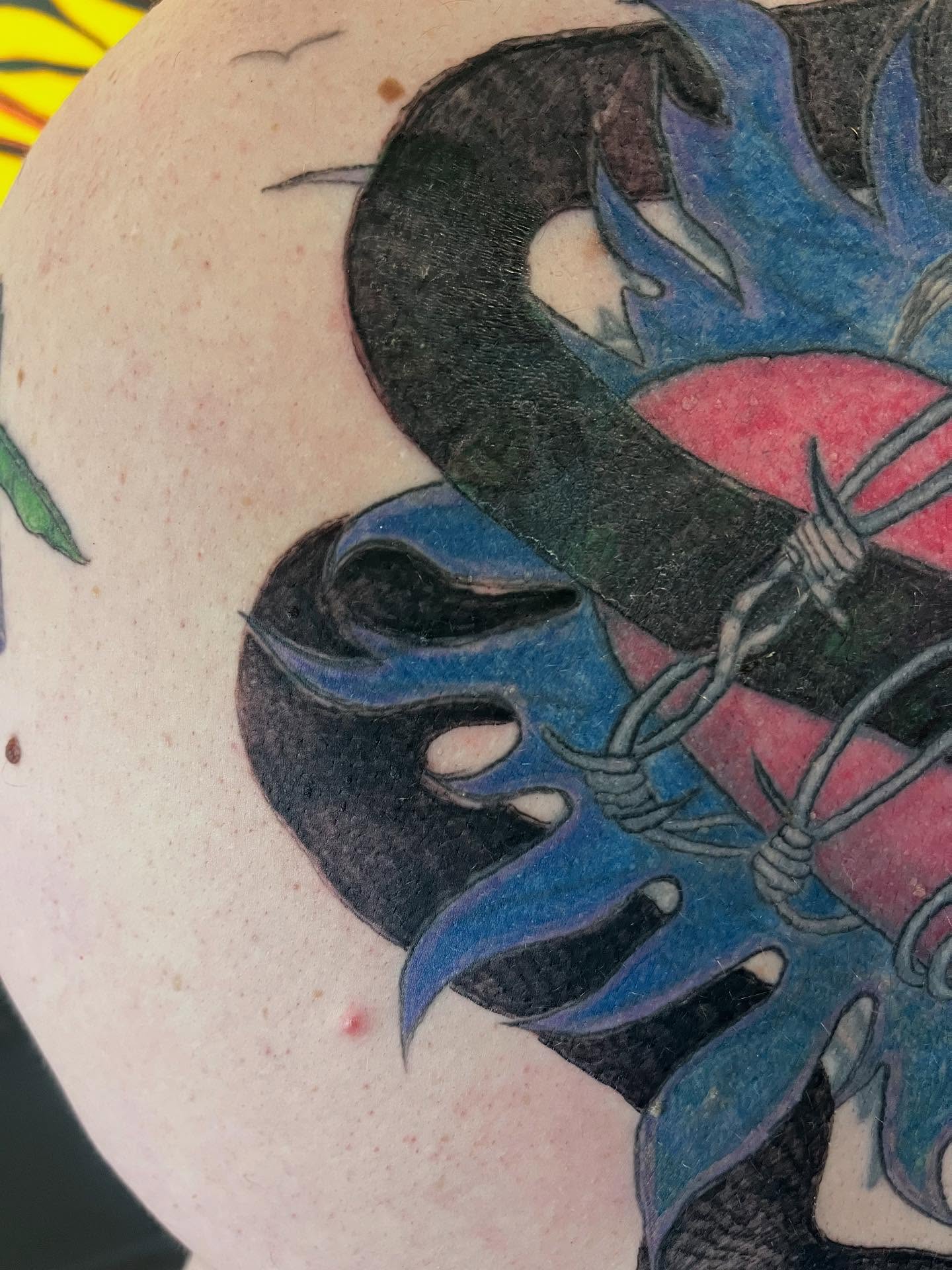 Snake and plant neo-traditional tattoo on the shoulder by Val Maughan