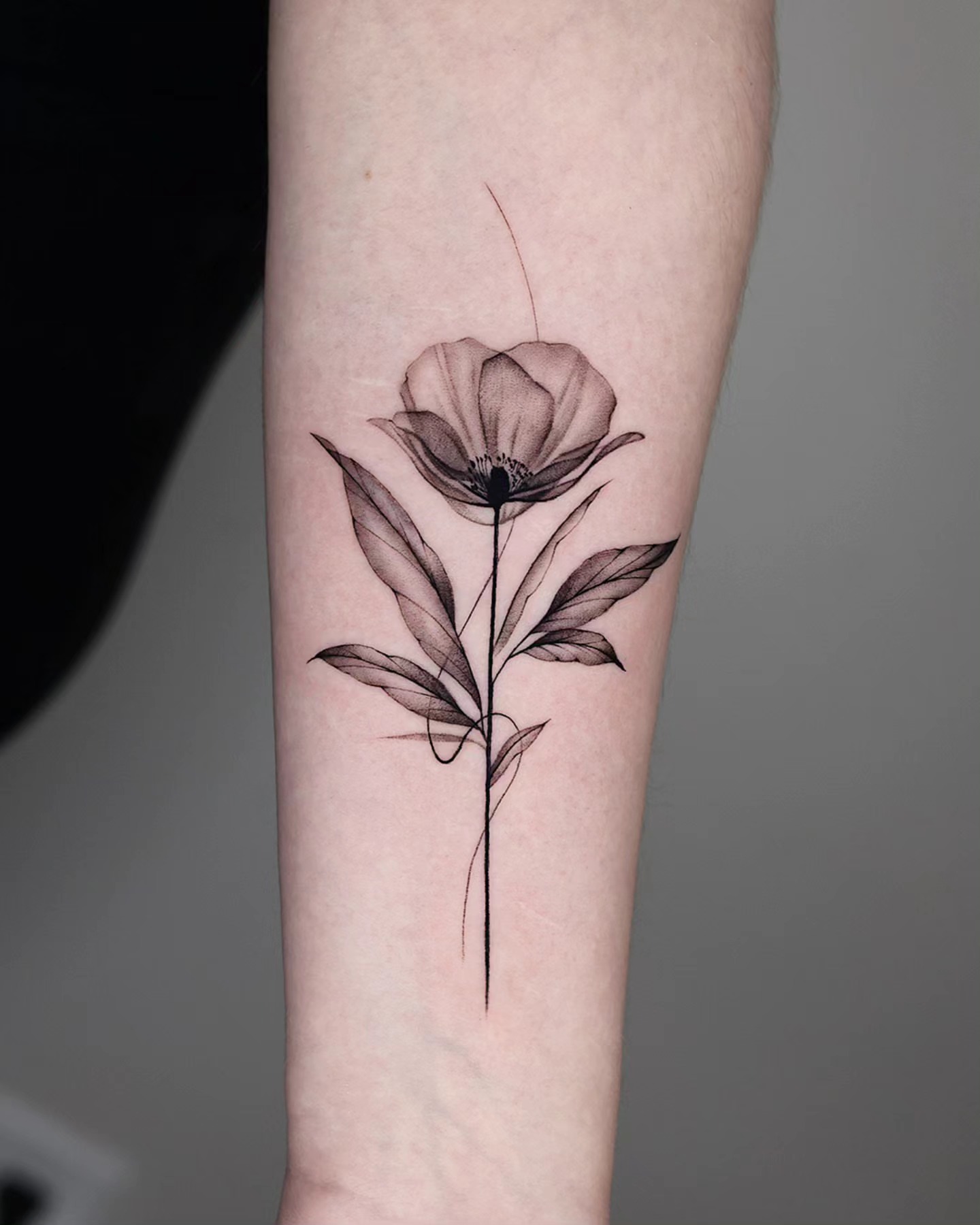 Tattoo by @ejintatt — black_and_grey