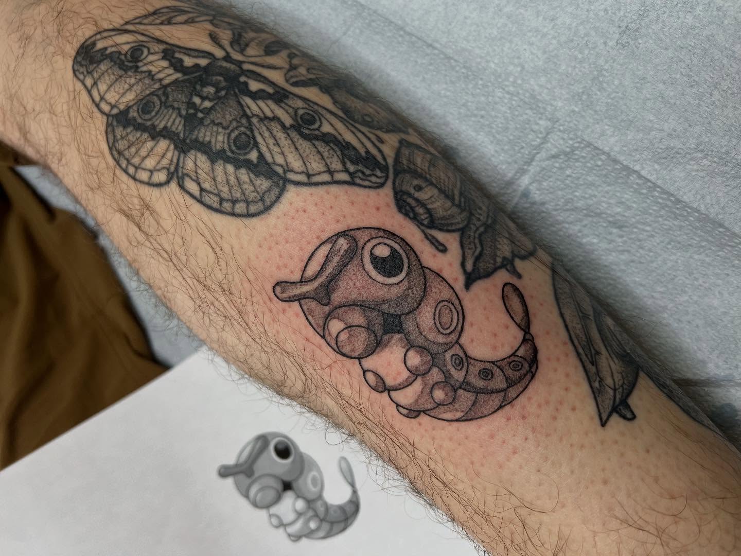Moth and caterpillar realism tattoo on the forearm by Taya Lynn, Hudson, Wisconsin