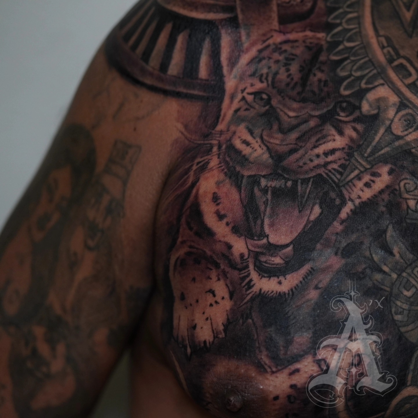 Roaring leopard realism tattoo on the chest by @tattoobytats