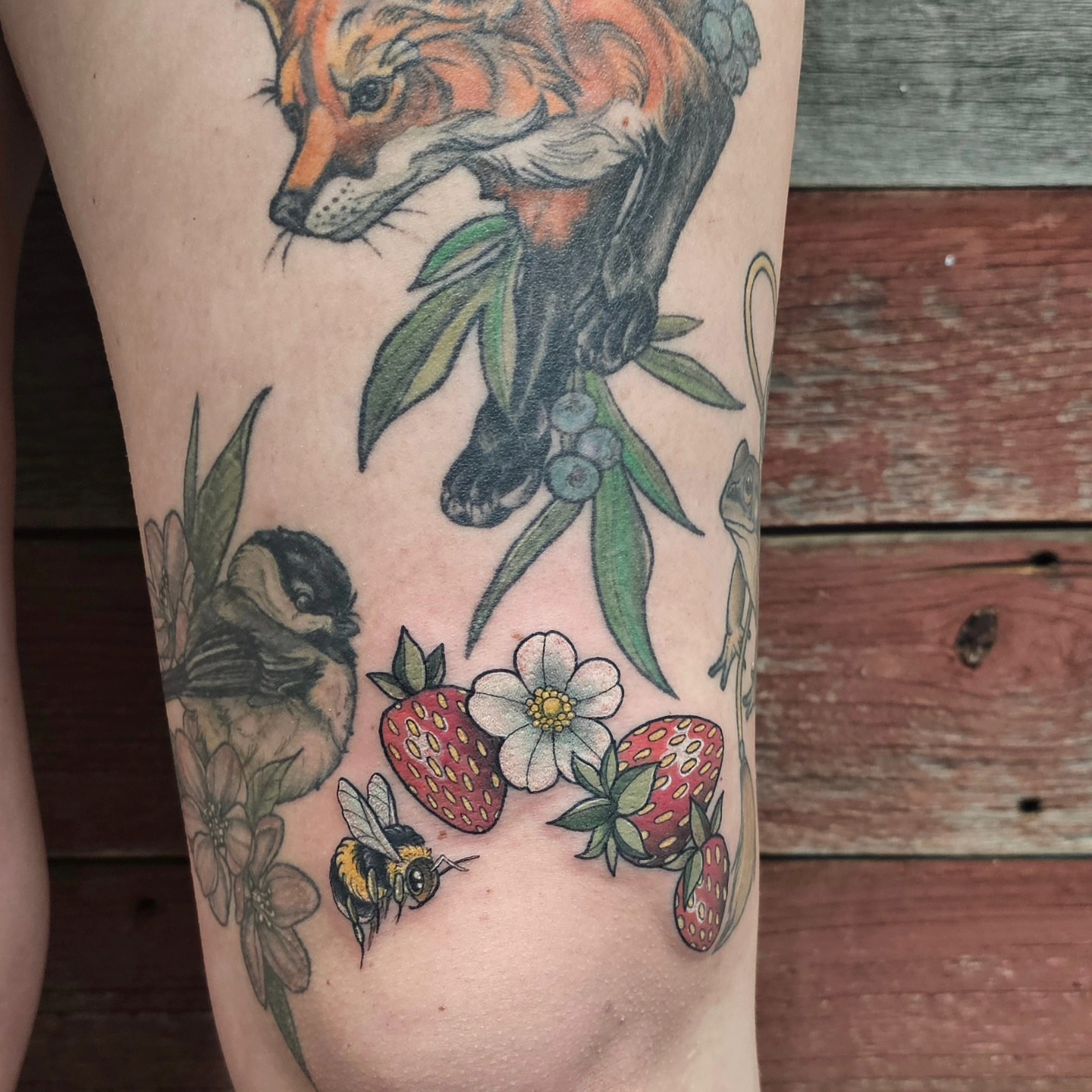 Fox and strawberries realism tattoo on the forearm by Savannah