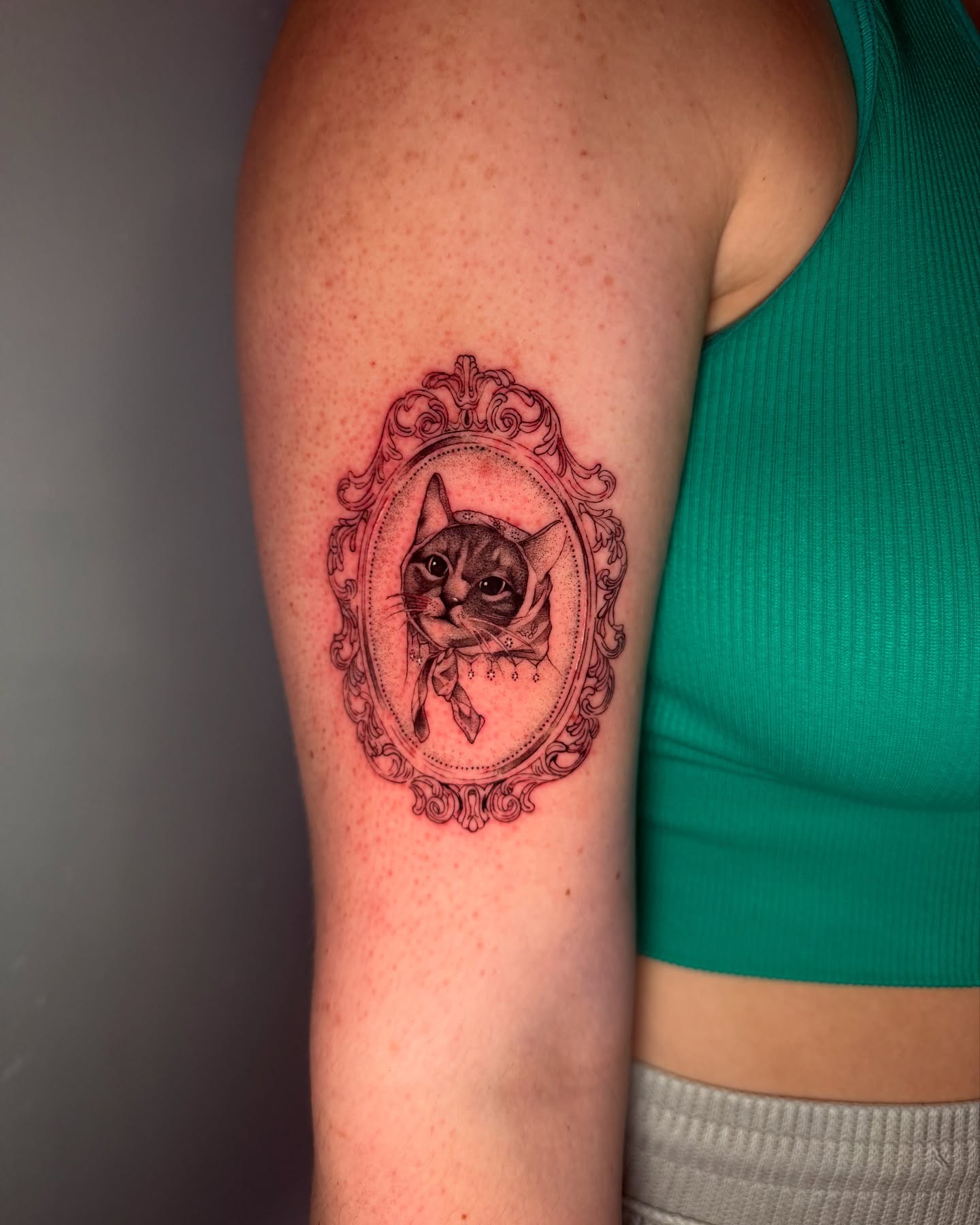 Cat in a frame black and grey tattoo on the forearm by aamora ꩜