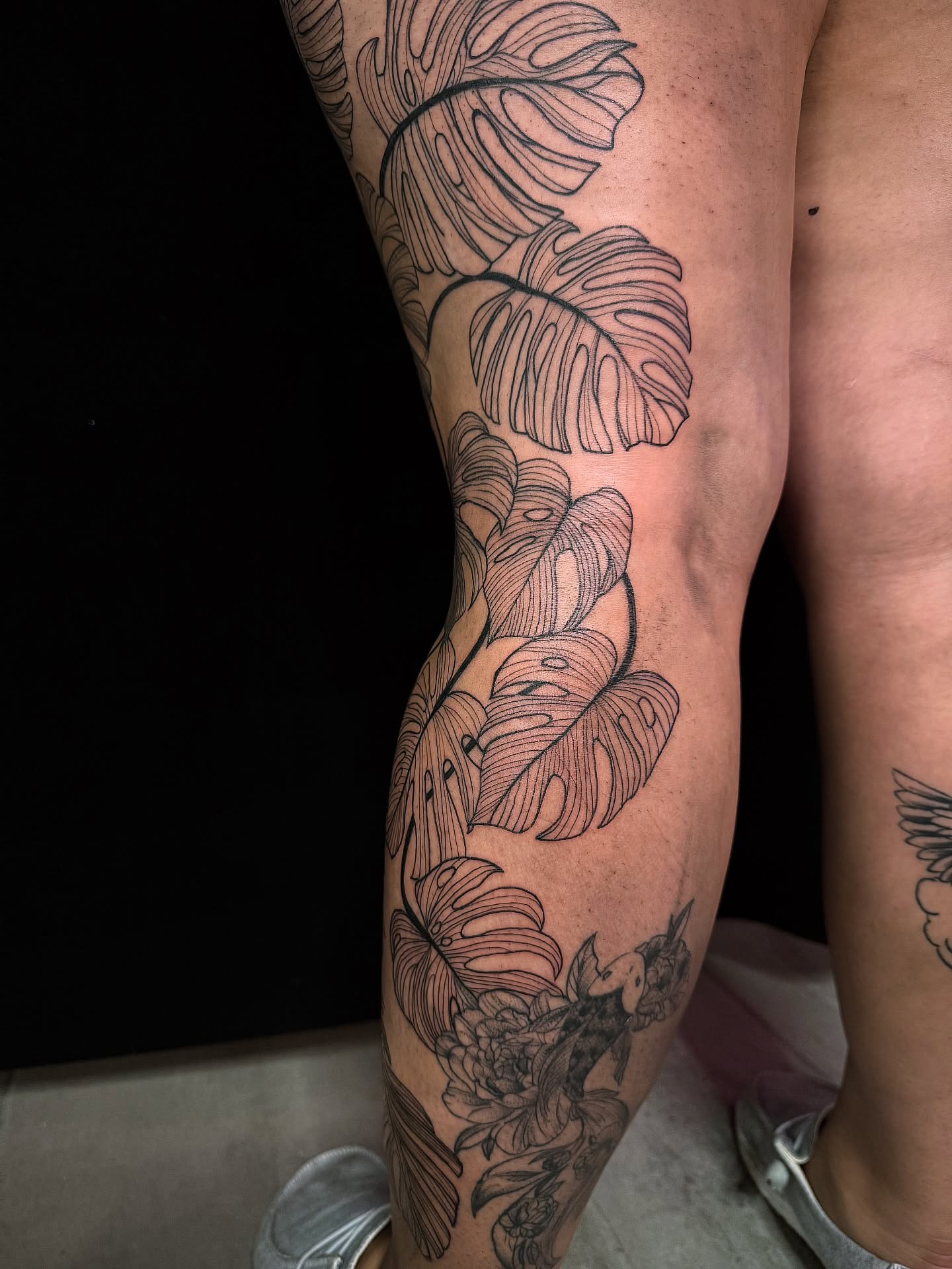Monstera leaves black and grey tattoo on the calf by ᴍᴀɢɢɪᴇ ✧, Las Vegas, Nevada