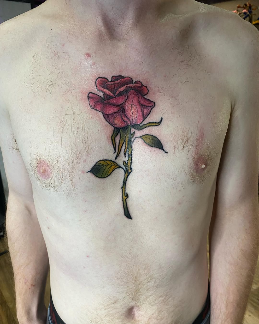 Tattoo by @tatsbyalexandra — american_traditional