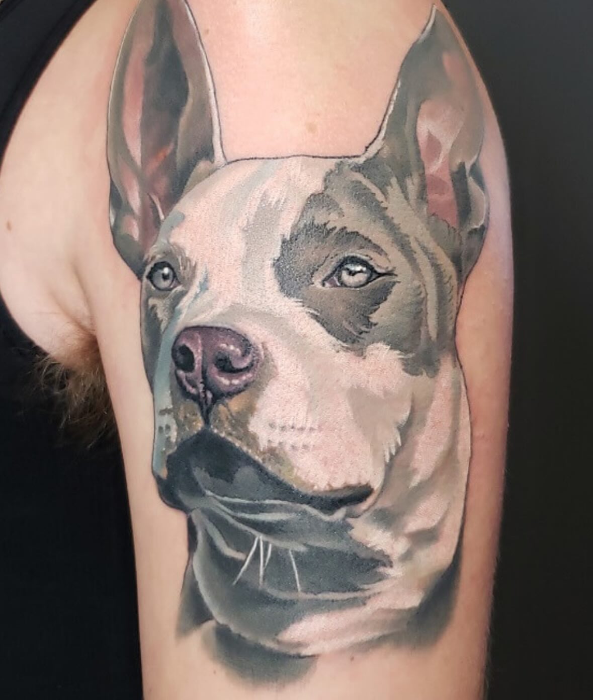 Dog realism tattoo on the upper arm by Emily Walker