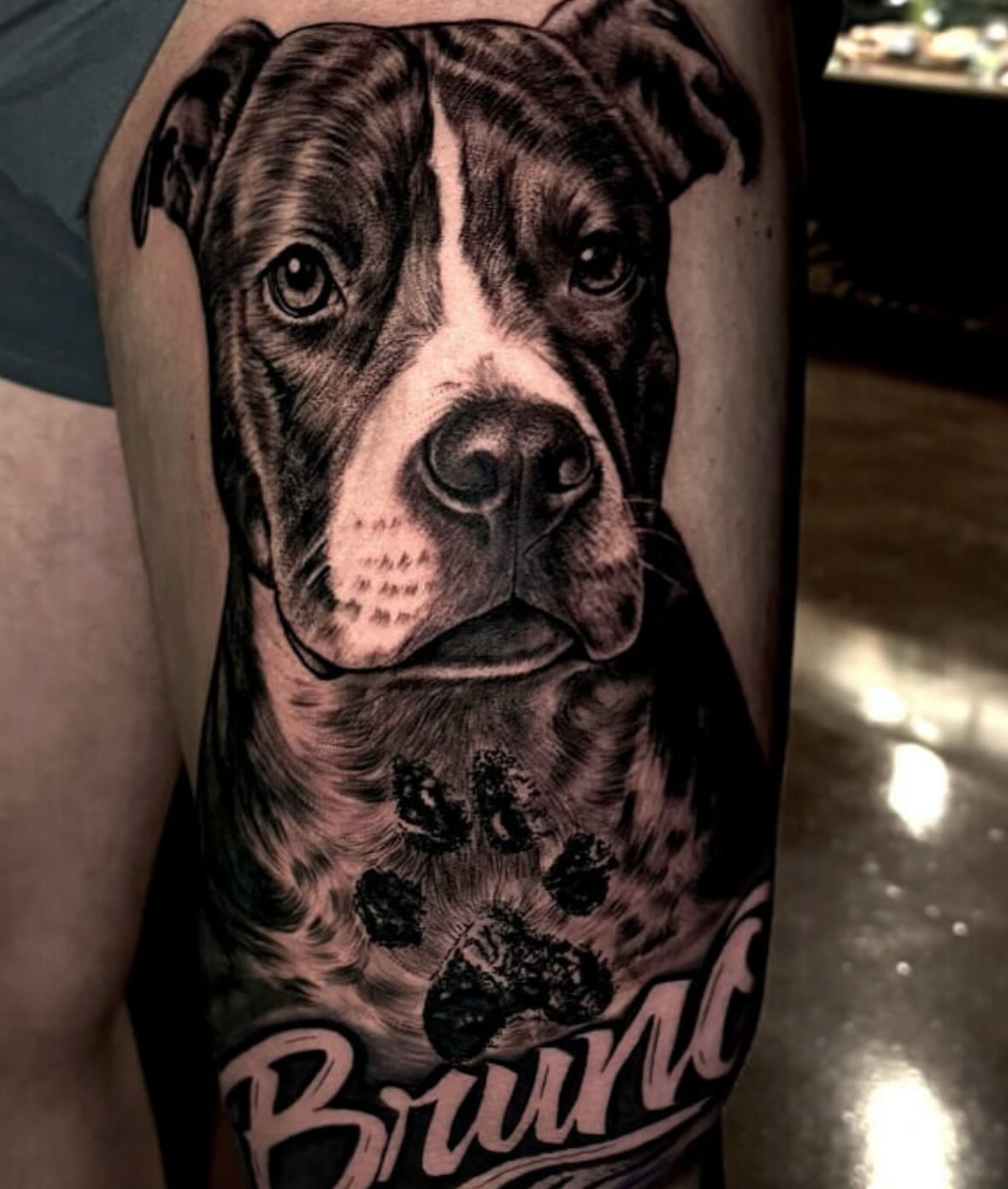 Dog portrait realism tattoo on the forearm by Emily Walker