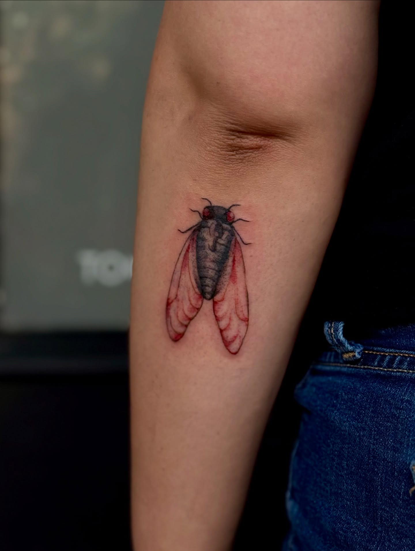 Cicada realism tattoo on the forearm by 𝙹𝙰𝚉𝚉 𝙲𝙷𝙰𝙾