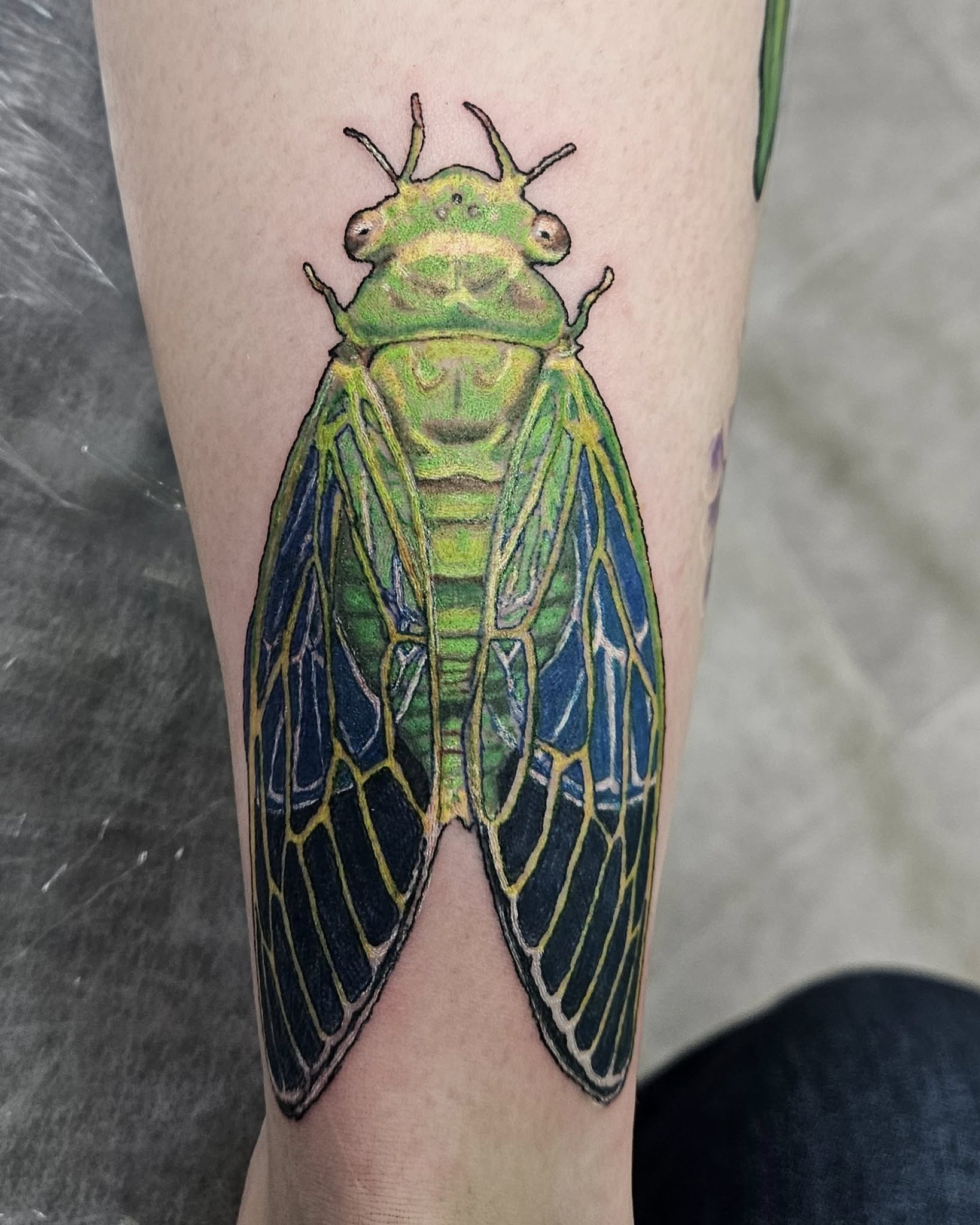Tattoo by @angrygnometattoo — realism